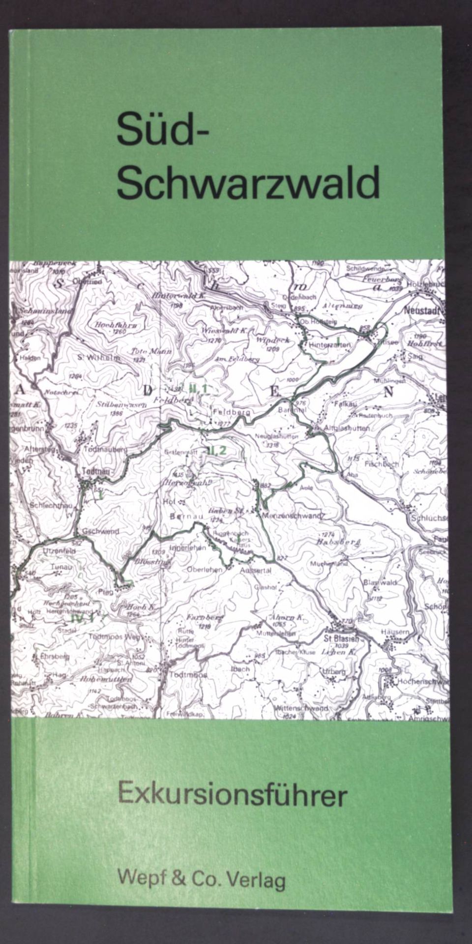 Geographischer Exkursionsführer der Region Basel - Teil: Lfg 15., Südschwarzwald : (Feldberg-Gebiet u. Wiesetäler)
