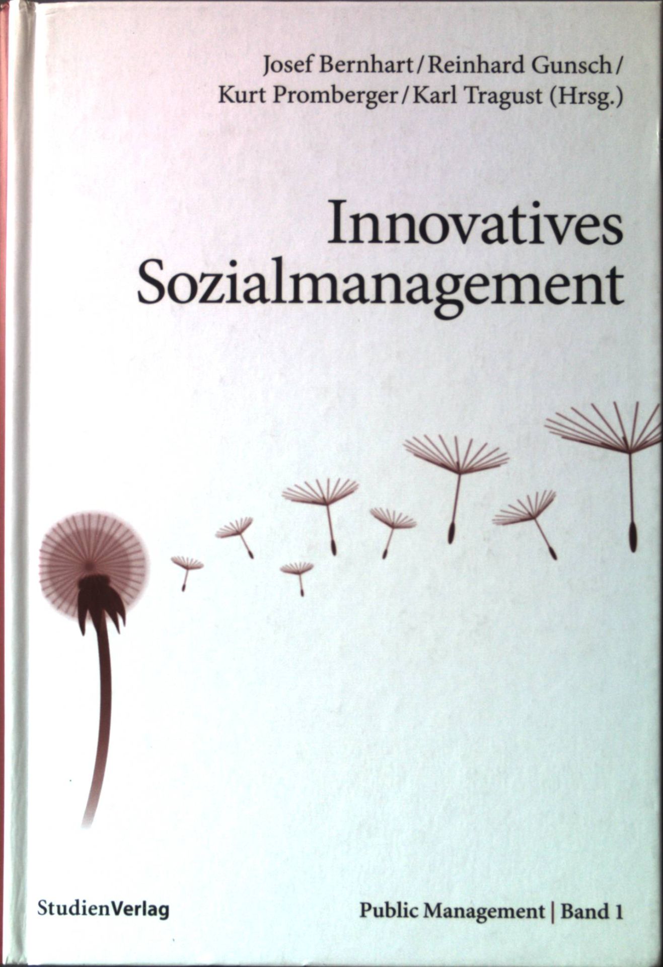 Innovatives Sozialmanagement