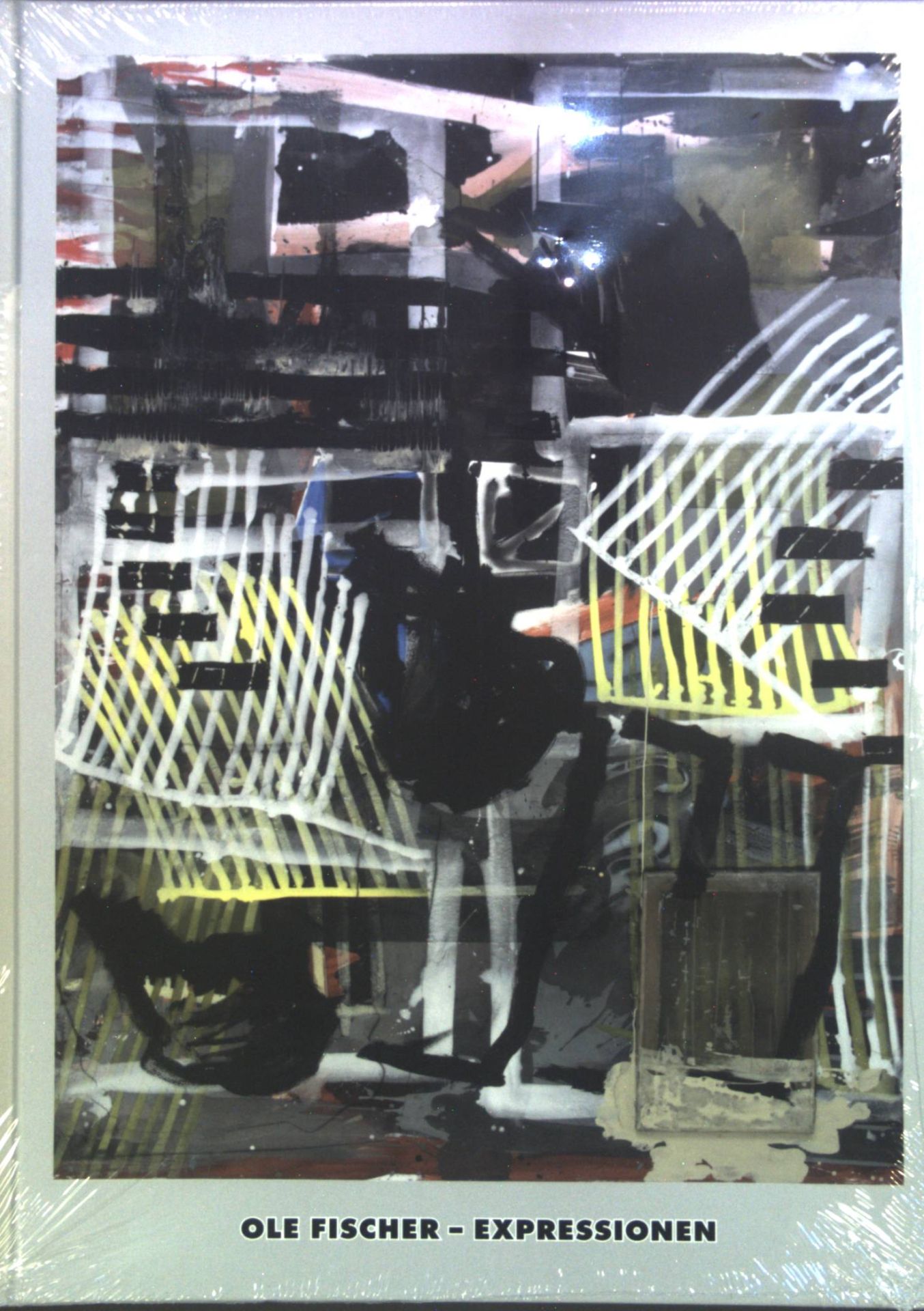 Ole Fischer - Expressionen