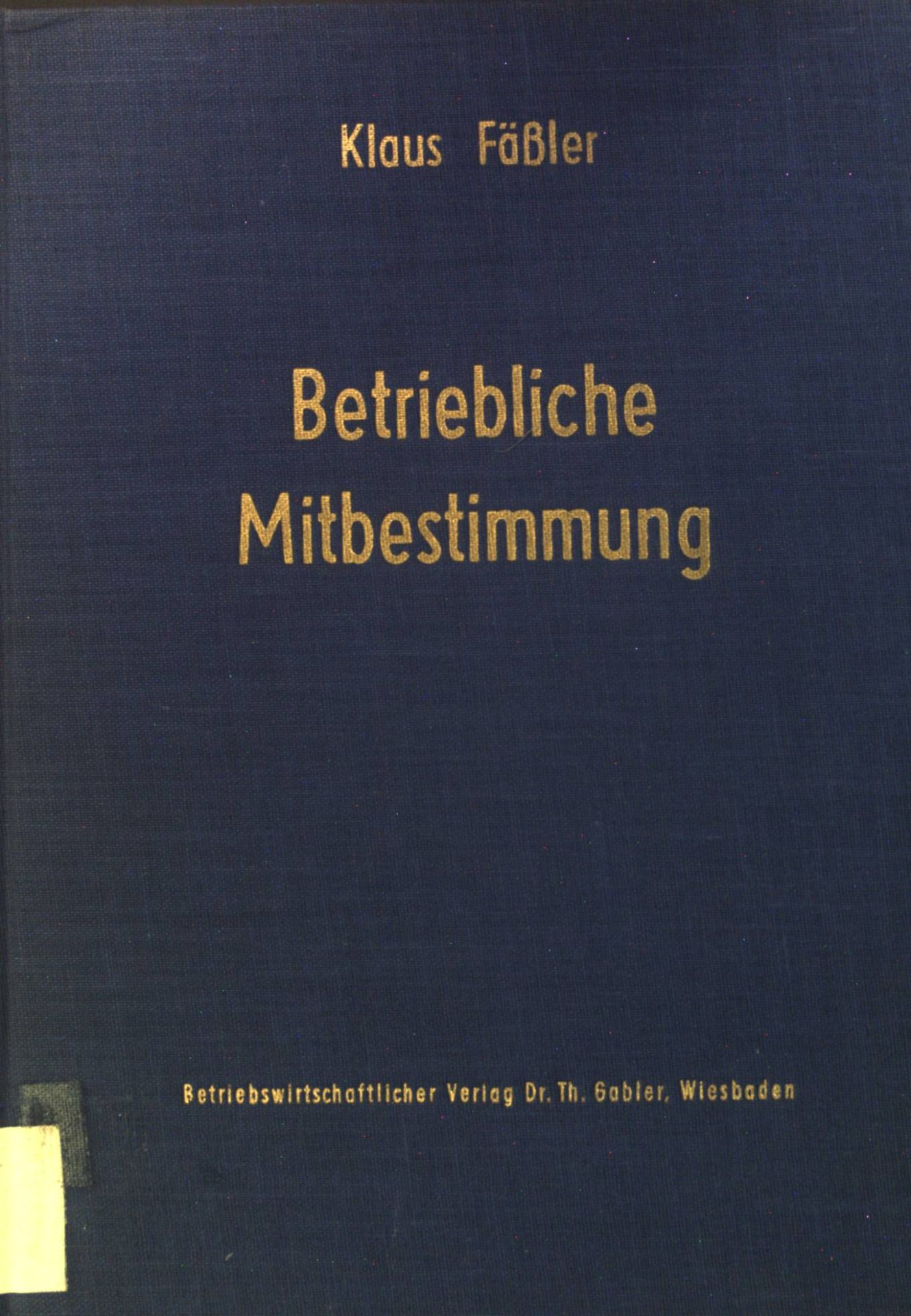 Betriebliche Mitbestimmung : Verhaltenswissenschaftliche Projektionsmodelle