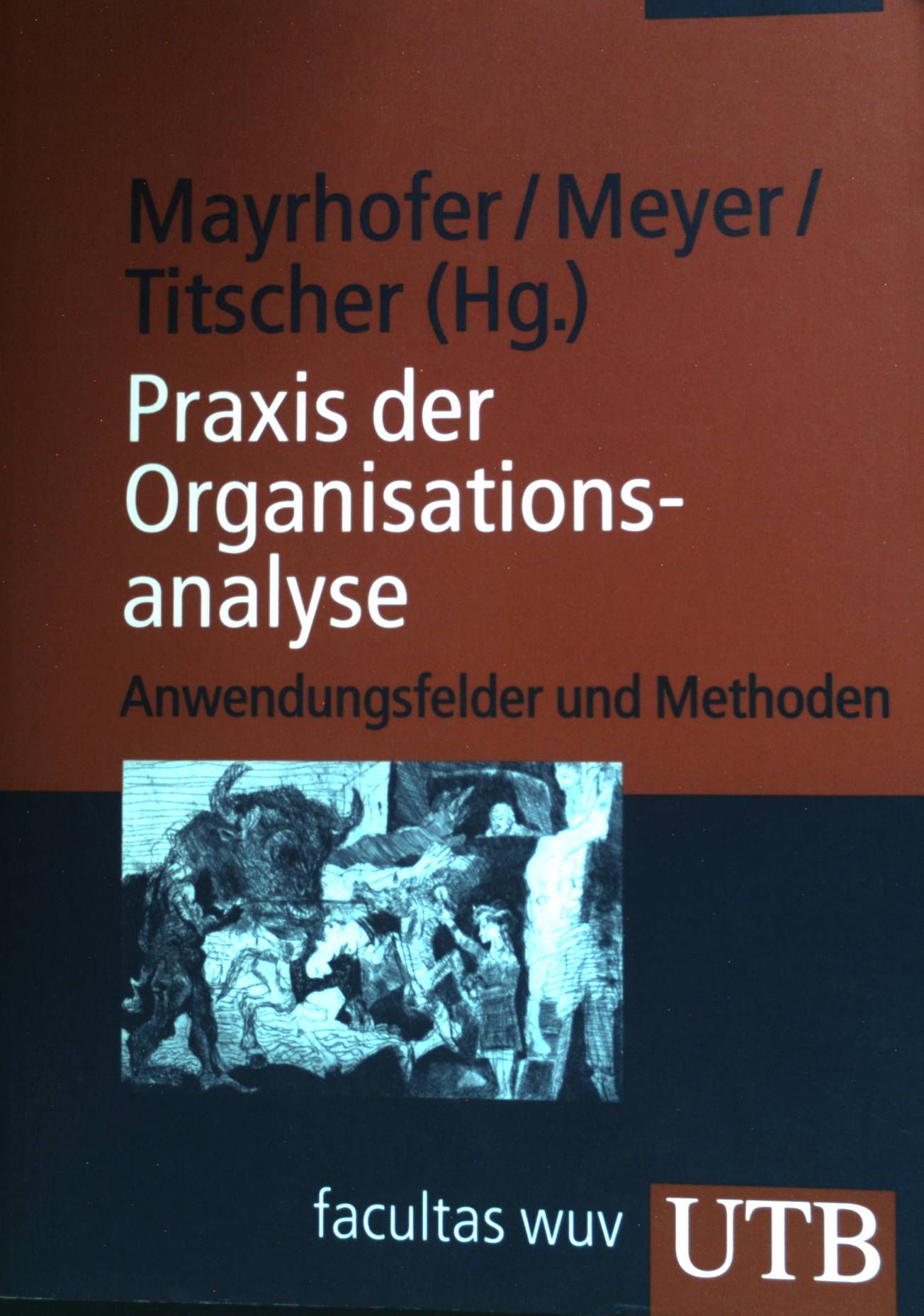 Praxis der Organisationsanalyse : Anwendungsfelder und Methoden