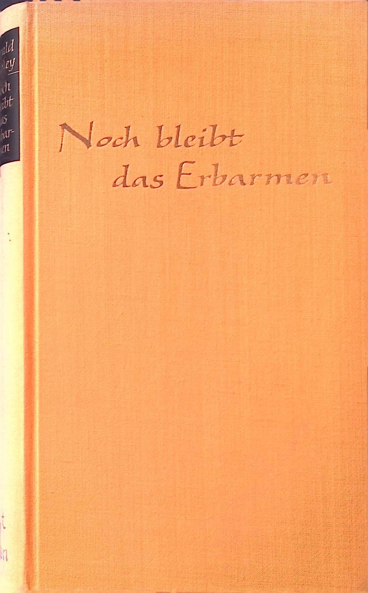 Noch bleibt das Erbarmen : Roman