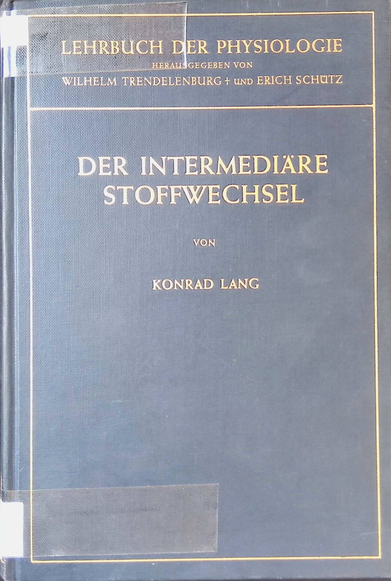 Der intermediäre Stoffwechsel