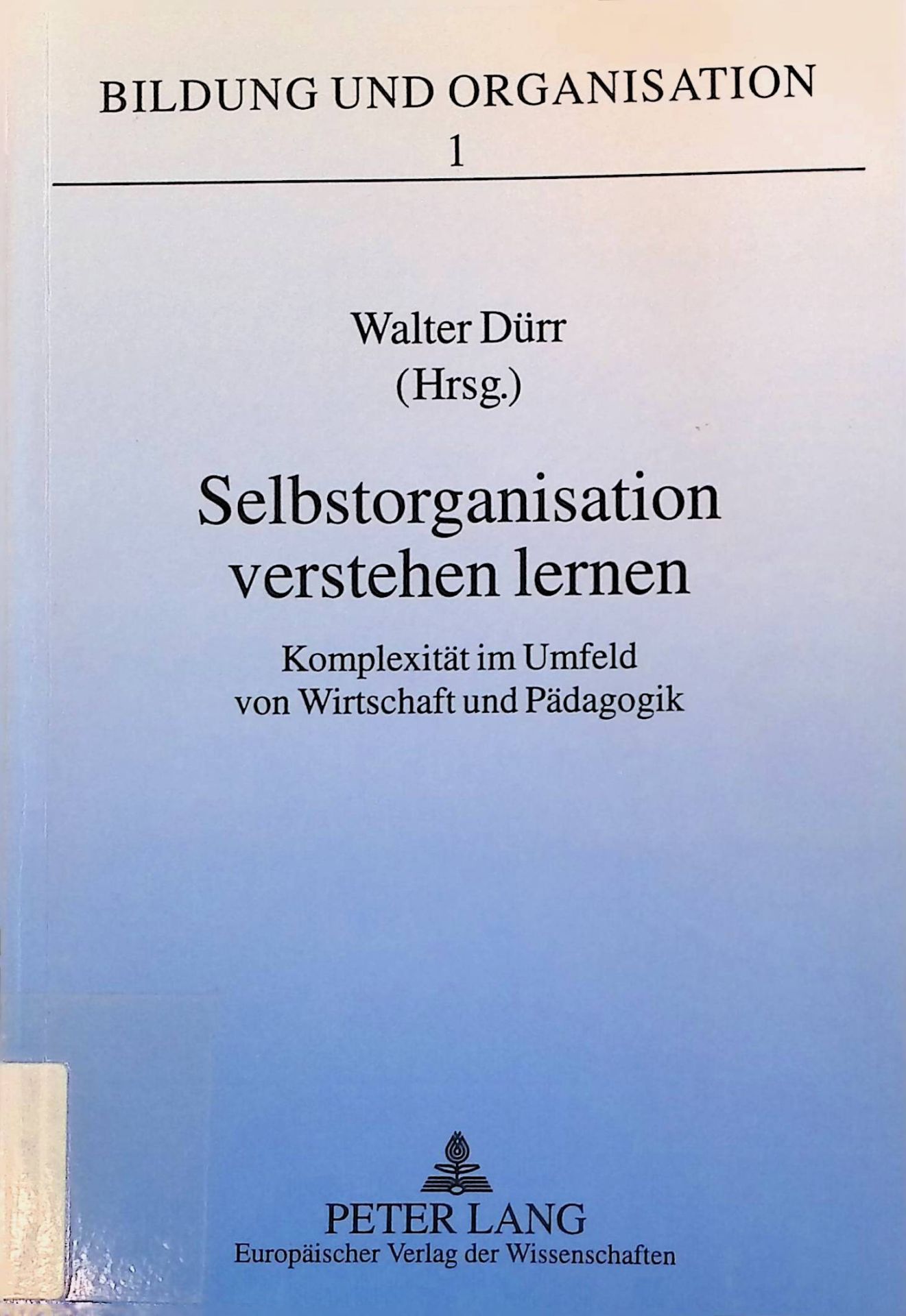 Selbstorganisation verstehen lernen : Komplexität im Umfeld von Wirtschaft und Pädagogik