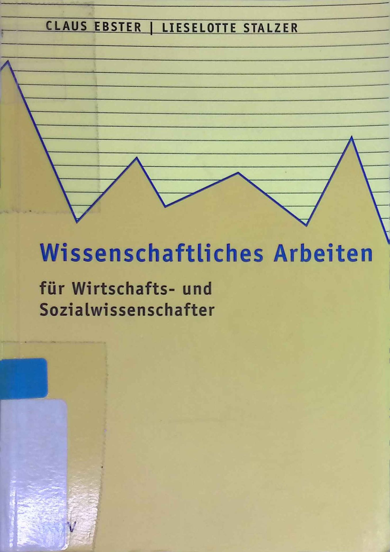 Wissenschaftliches Arbeiten für Wirtschafts- und Sozialwissenschaftler