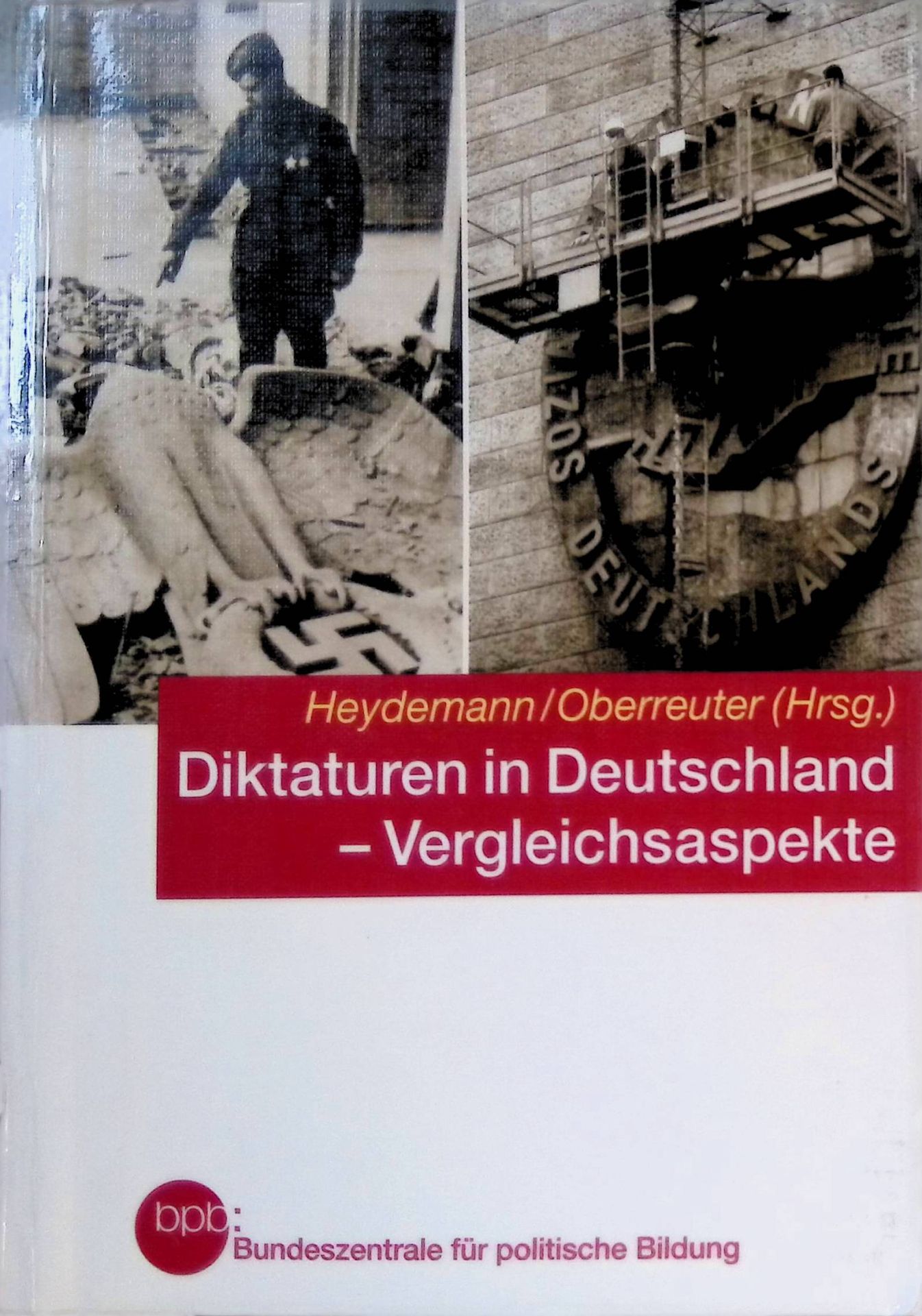 Diktaturen in Deutschland - Vergleichsaspekte : Strukturen, Institutionen und Verhaltensweisen