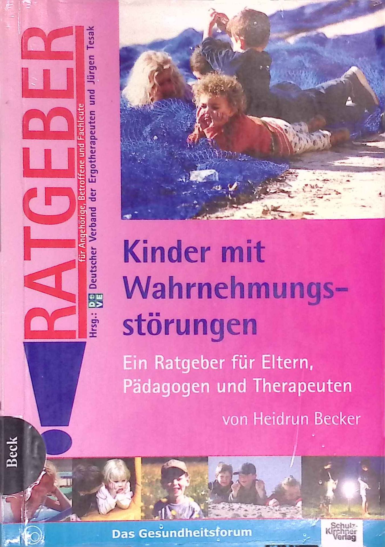 Kinder mit Wahrnehmungsstörungen : ein Ratgeber für Eltern, Pädagogen und Therapeuten