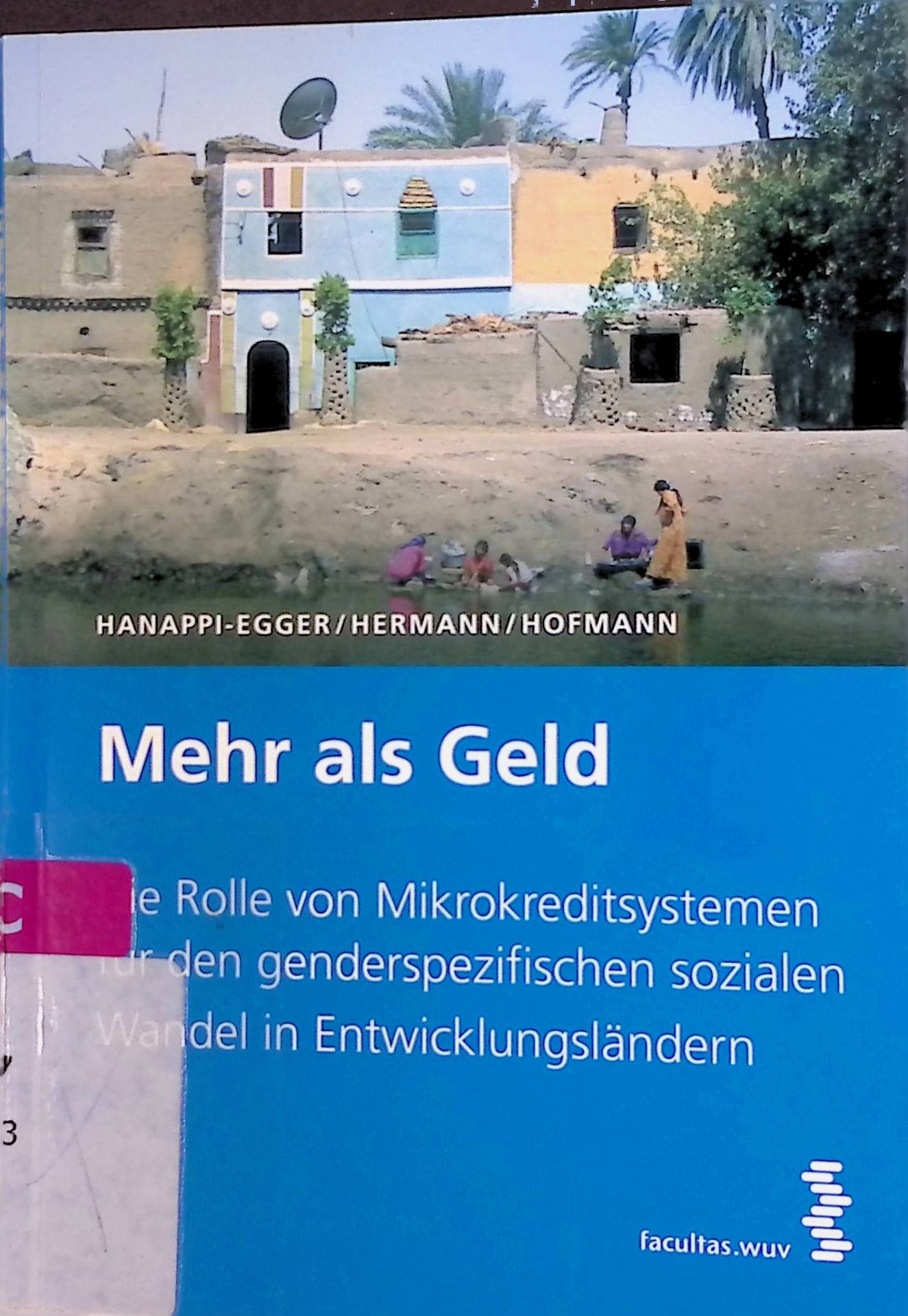 Mehr als Geld. Die Rolle von Mikrokreditsystemen für den genderspezifischen sozialen Wandel in Entwicklungsländern
