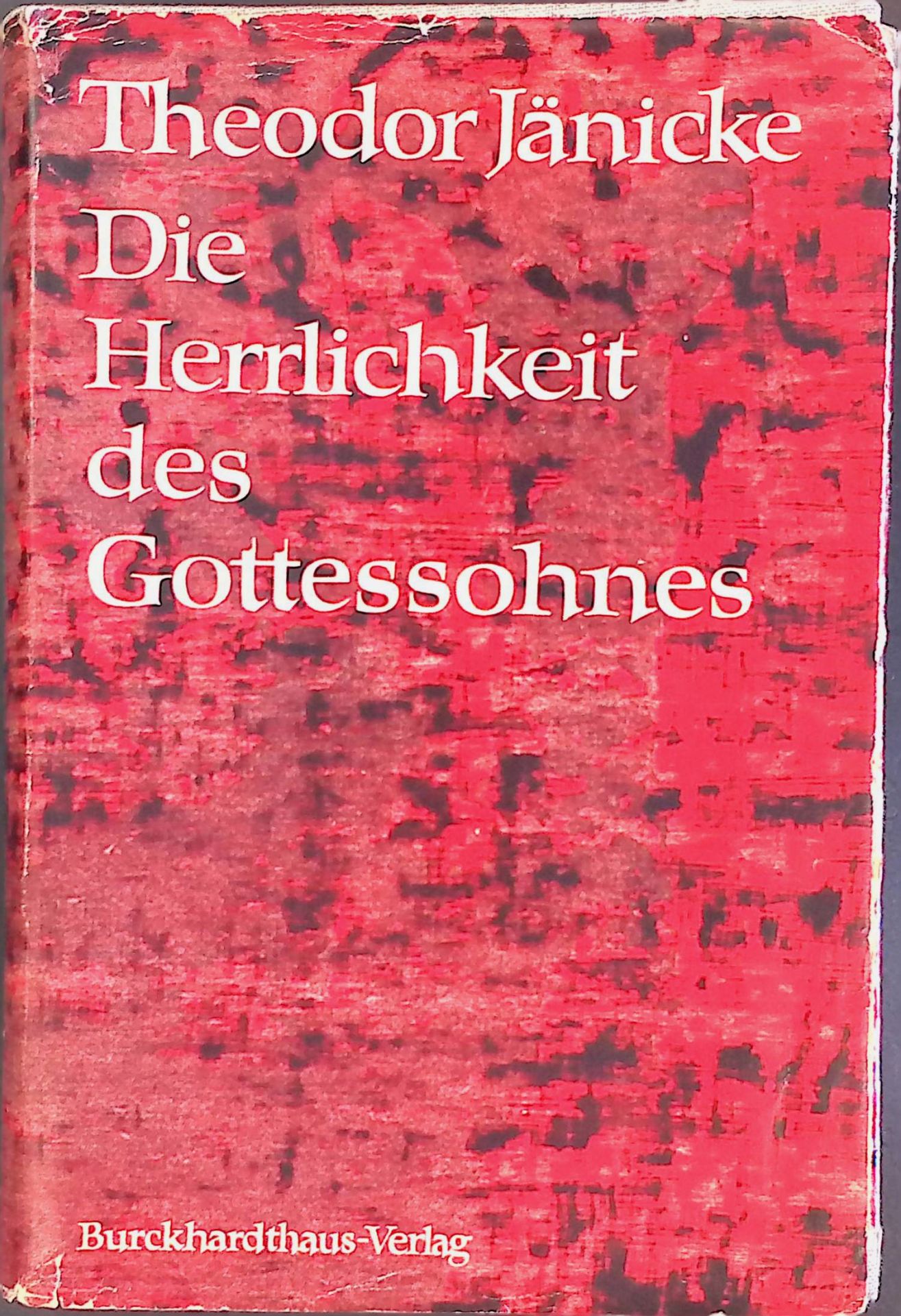 Die Herrlichkeit des Gottessohnes. Eine Einf. in d. Johannesevangelium