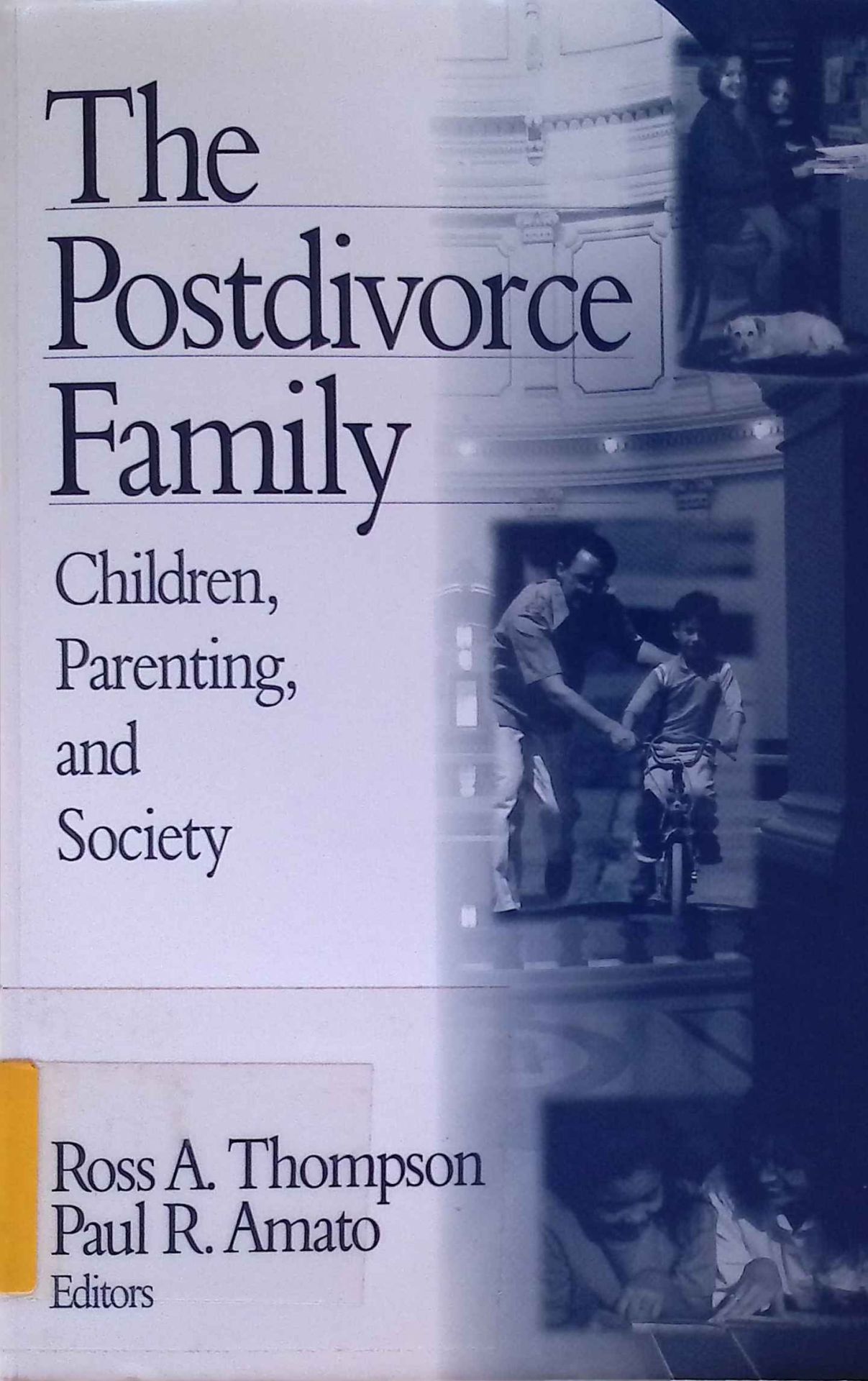 The Postdivorce Family: Children, Parenting, and Society