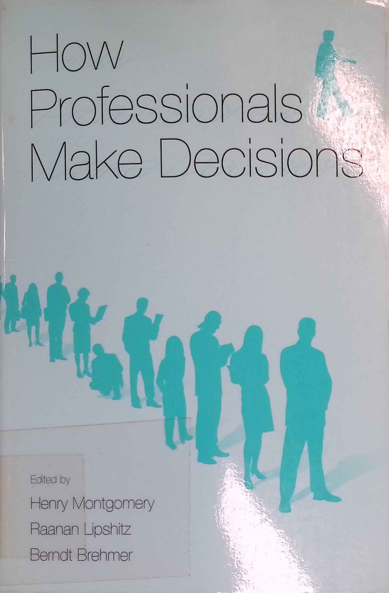 How Professionals Make Decisions