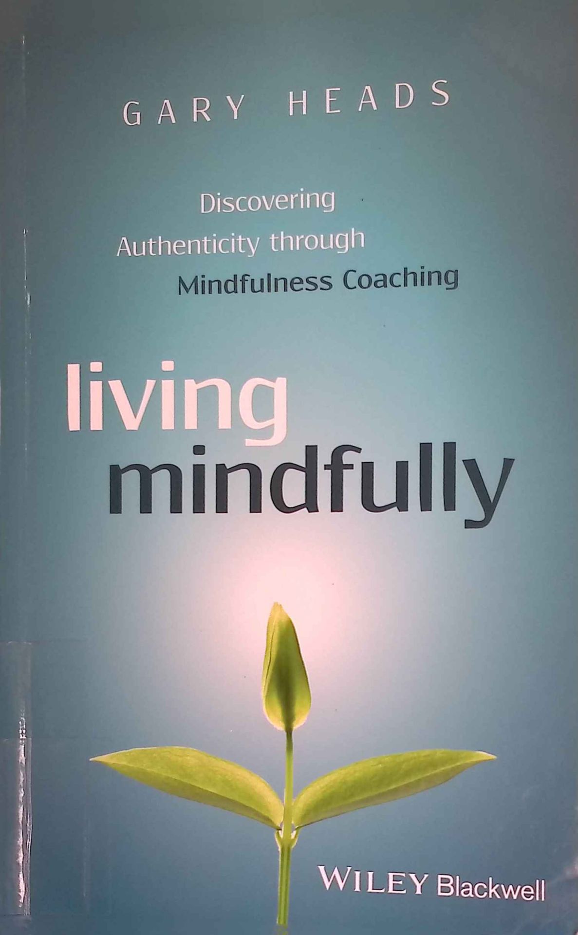 Living Mindfully: Discovering Authenticity through Mindfulness Coaching