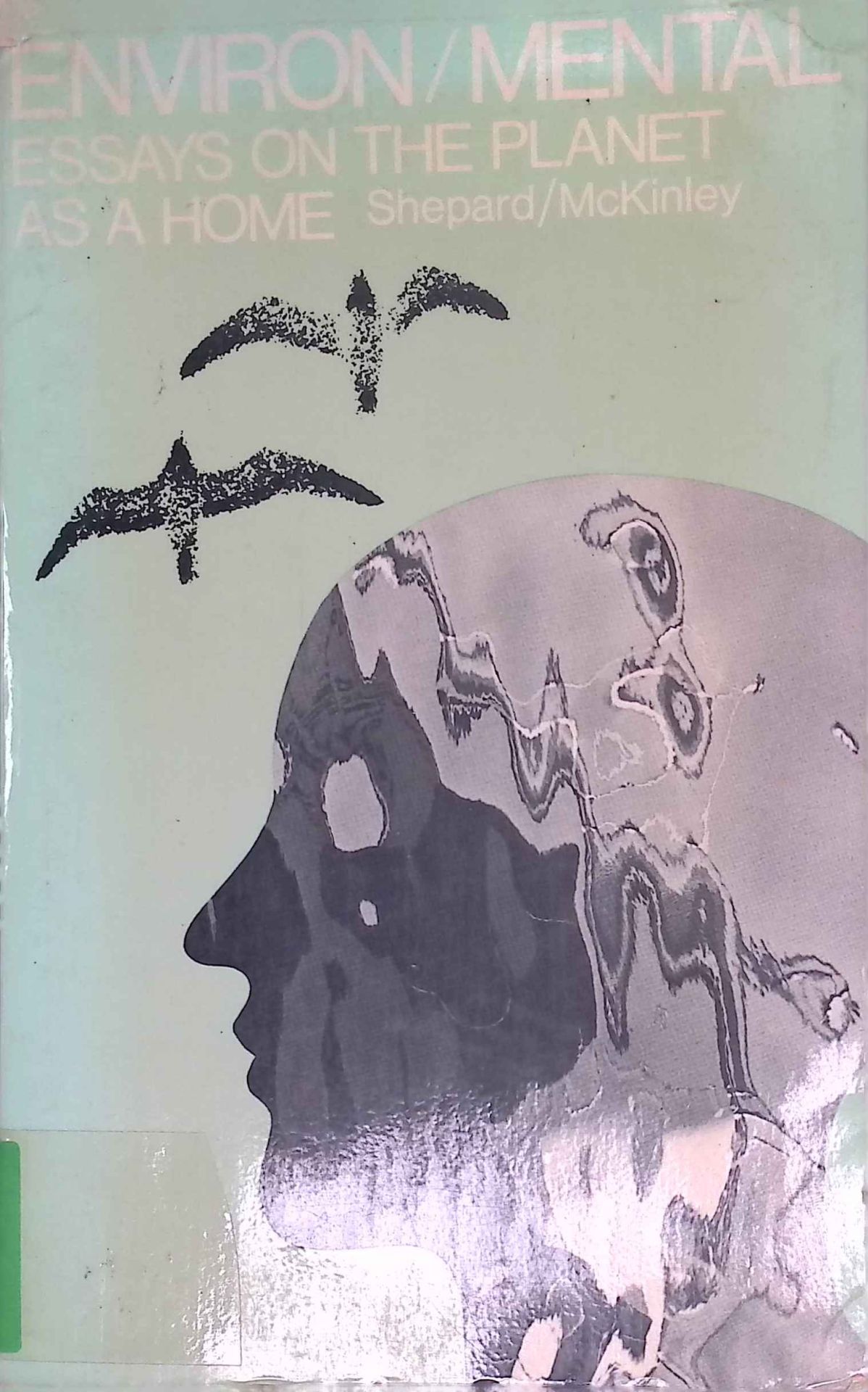 Environ/mental: essays on the planet as a home