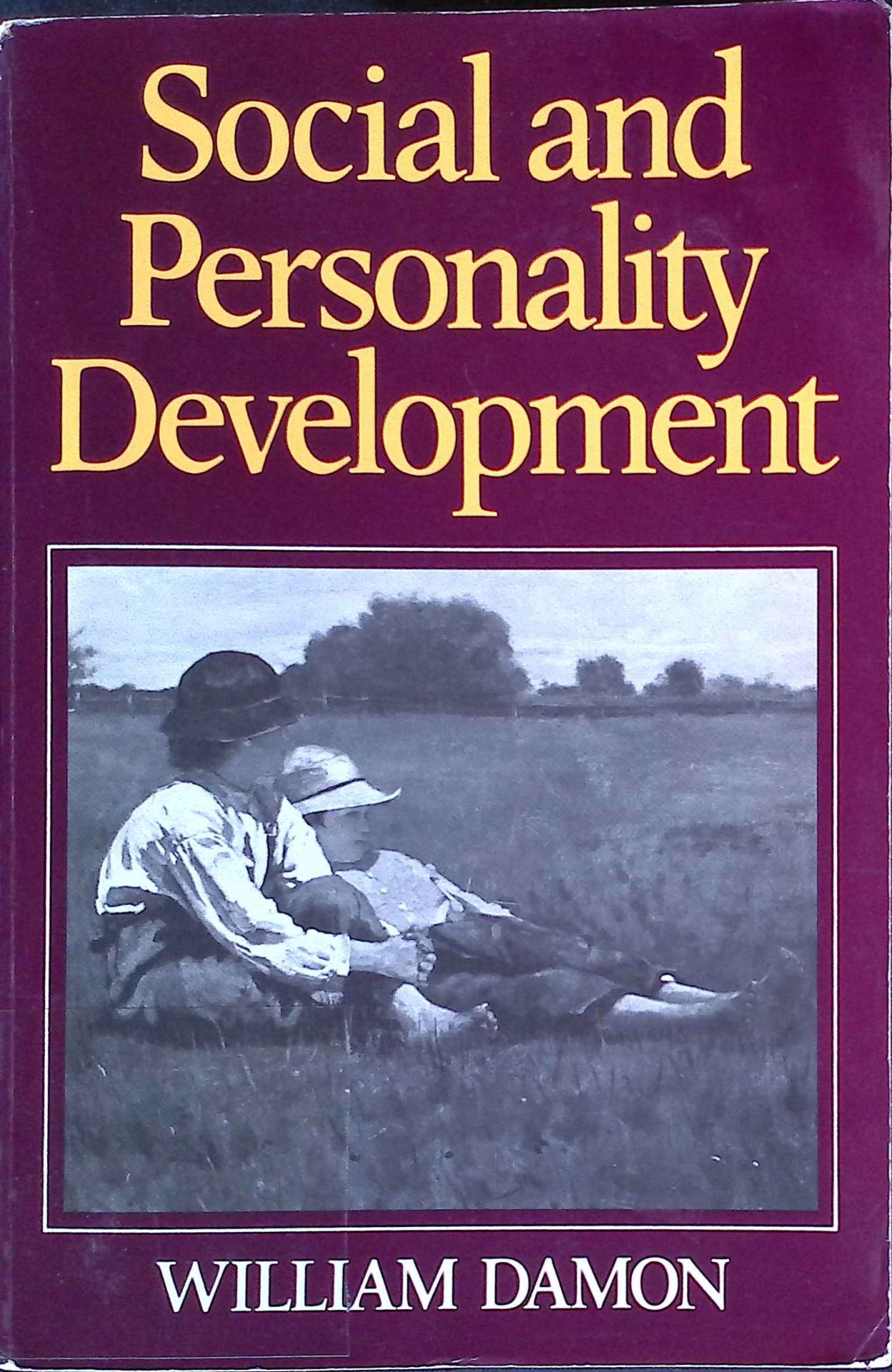Social and Personality Development: Infancy Through Adolescence