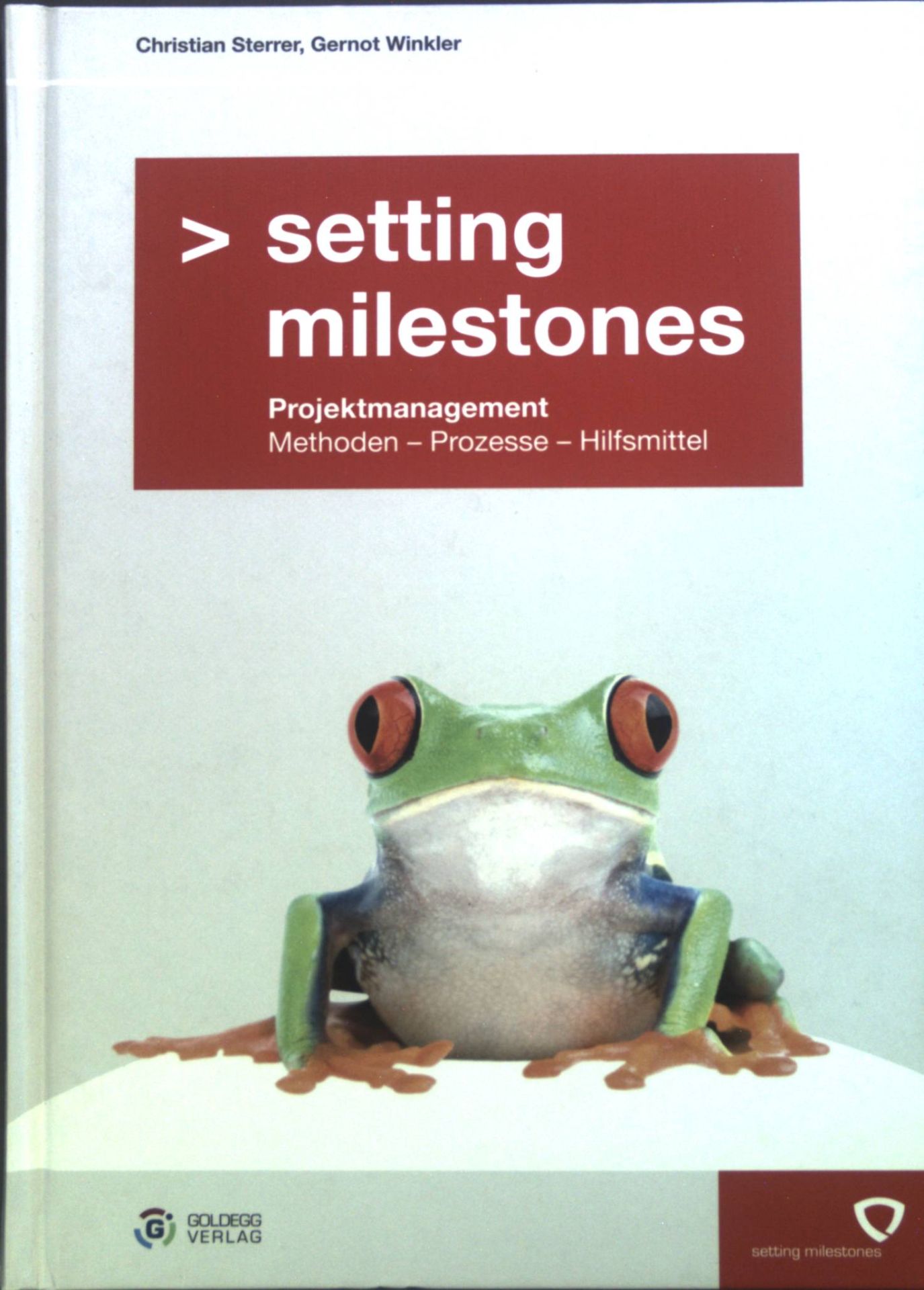 Setting milestones : Projektmanagement - Methoden, Prozesse, Hilfsmittel