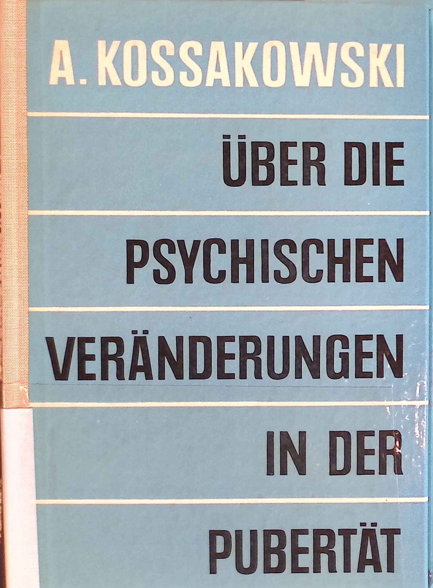 Über die psychischen Veränderungen in der Pubertät : Bedingungsanalyse