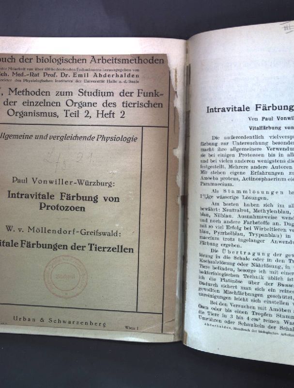 Intravitale Färbung von Protozoen / Vitale Färbungen der Tierzellen;