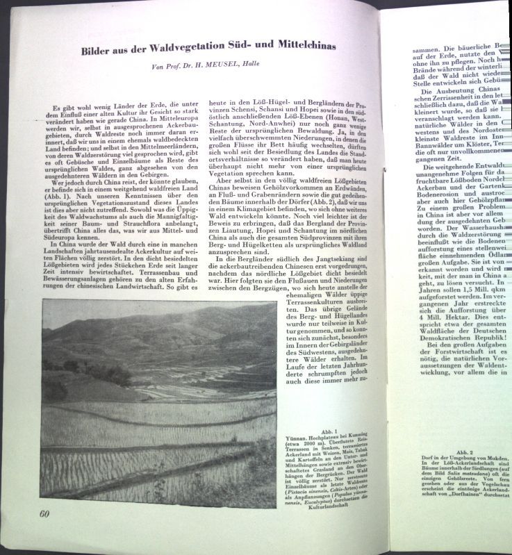 Bilder aus der Waldvegetaton Süd- und Mittelchinas