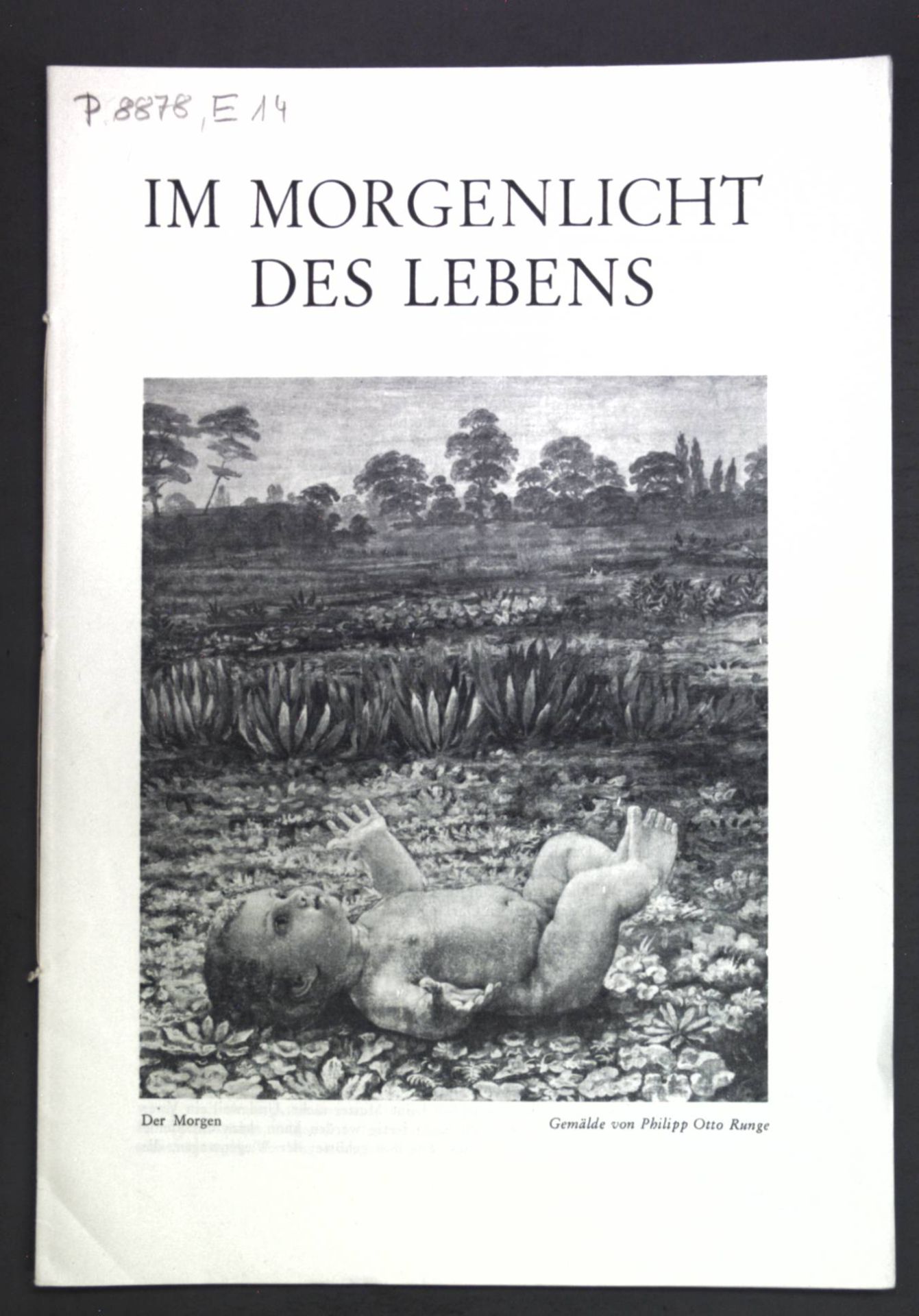 Im Morgenlicht des Lebens