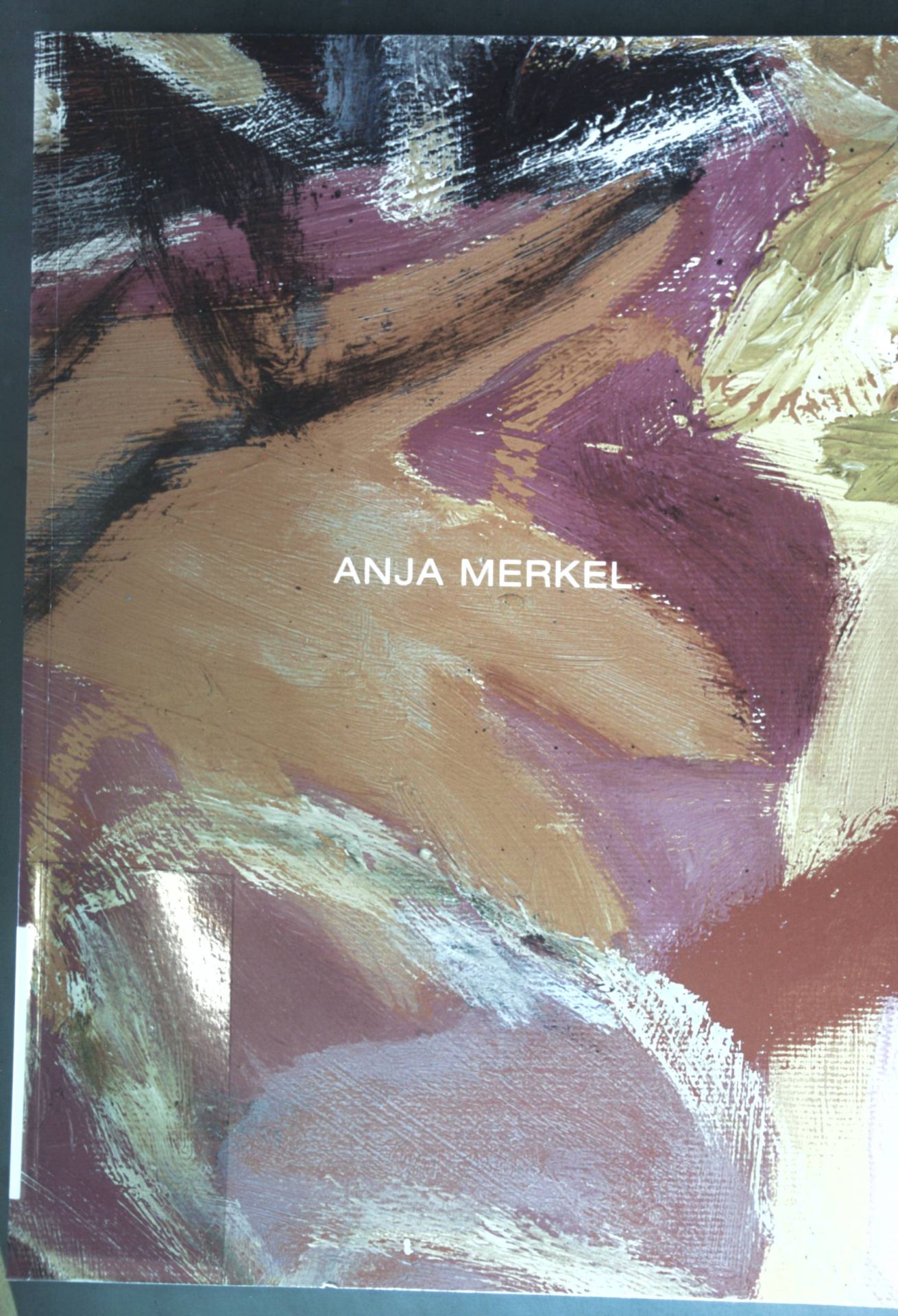 Anja Merkel: Bilder - Katalog zur Ausstellung 7. Juni - 26. Juli 2009 Galerie Schrade Mochental