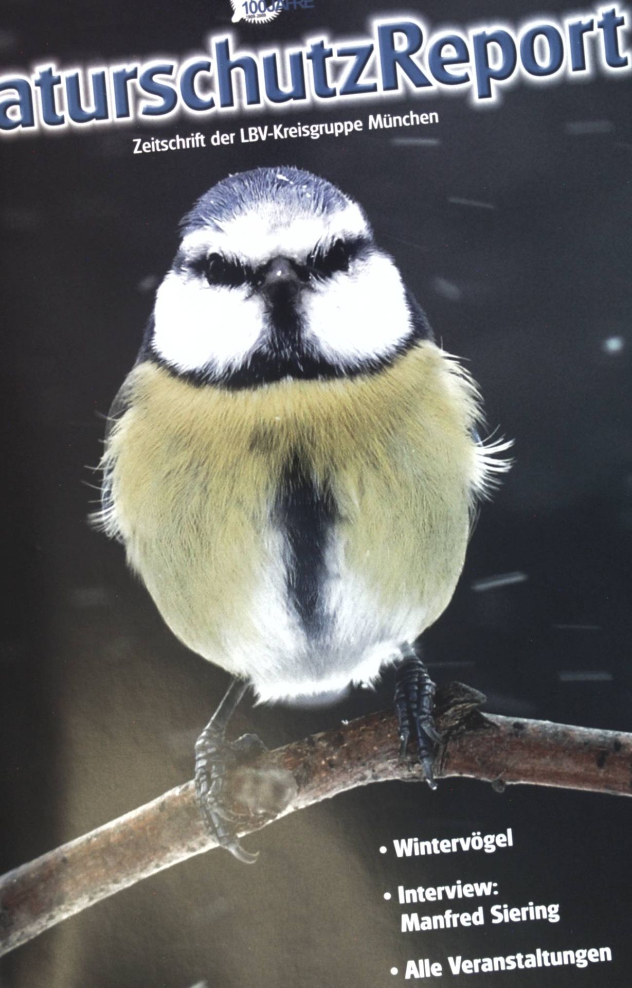 Wintervögel - in: 1. Halbjahr 2012 Naturschutz-Report - Zeitschrift der LBV Kreisgruppe München