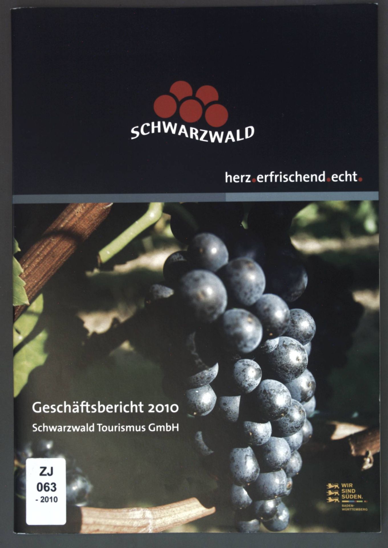 Geschäftsbericht 2010 Schwarzwald Tourismus GmbH