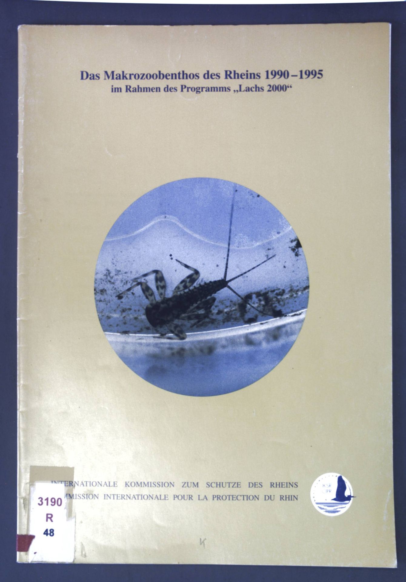 Das Makrozoobenthos des Rheins 1990-1995 im Rahmen des Programms Lachs 2000