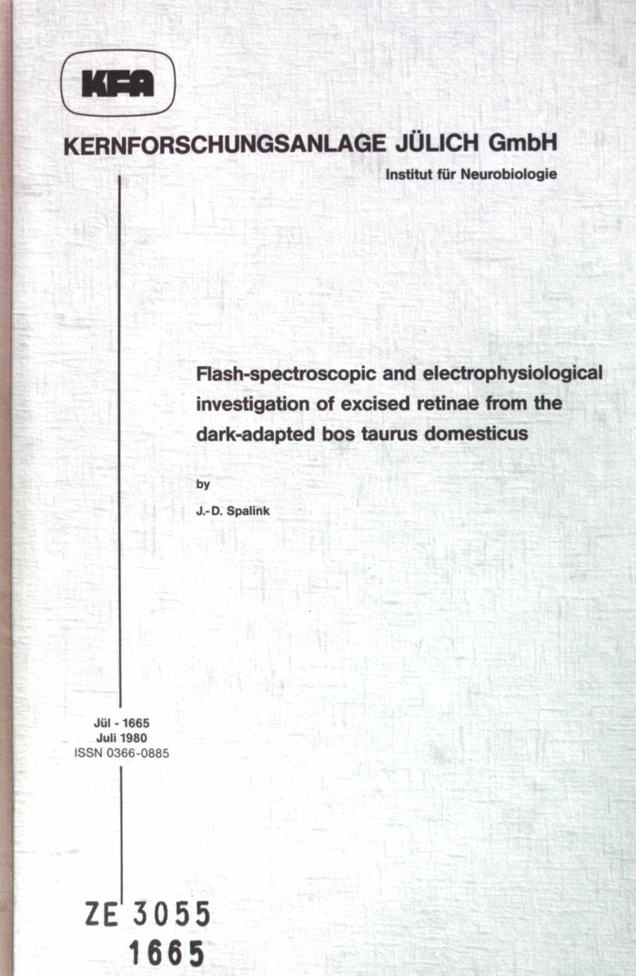 Flash-spectroscopic and eletrophysiological investigation of excised retinae from the dark-adapted bos taurus domesticus