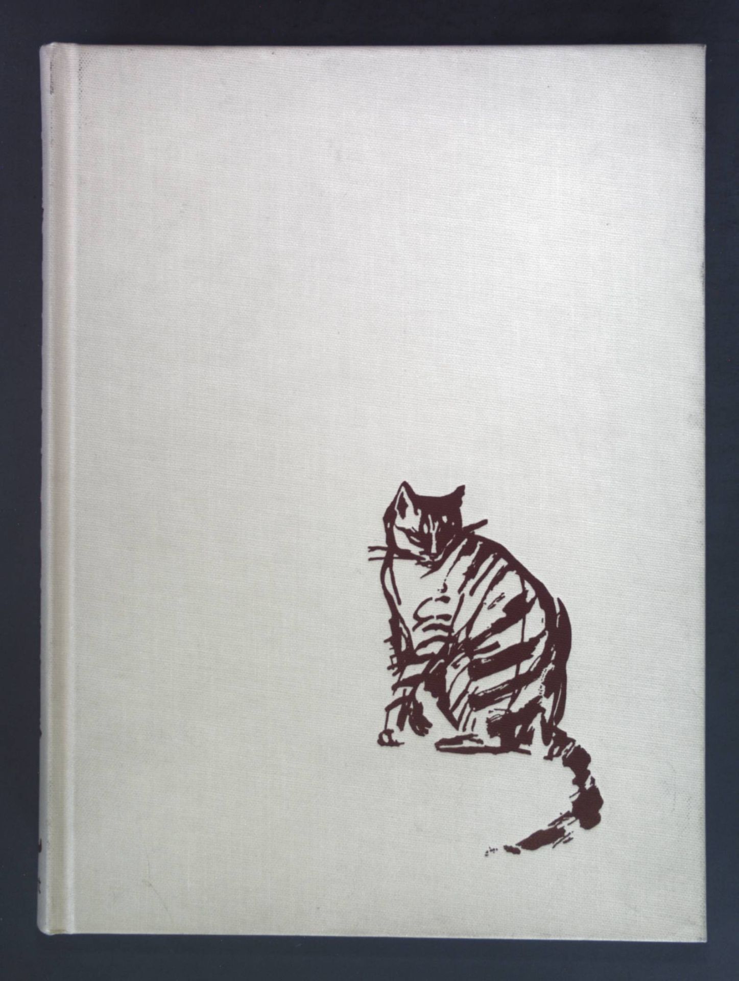 Alls für die Katz: Das illustrierte Lesebuch für die gebildete Katze durch das ganze Jahr