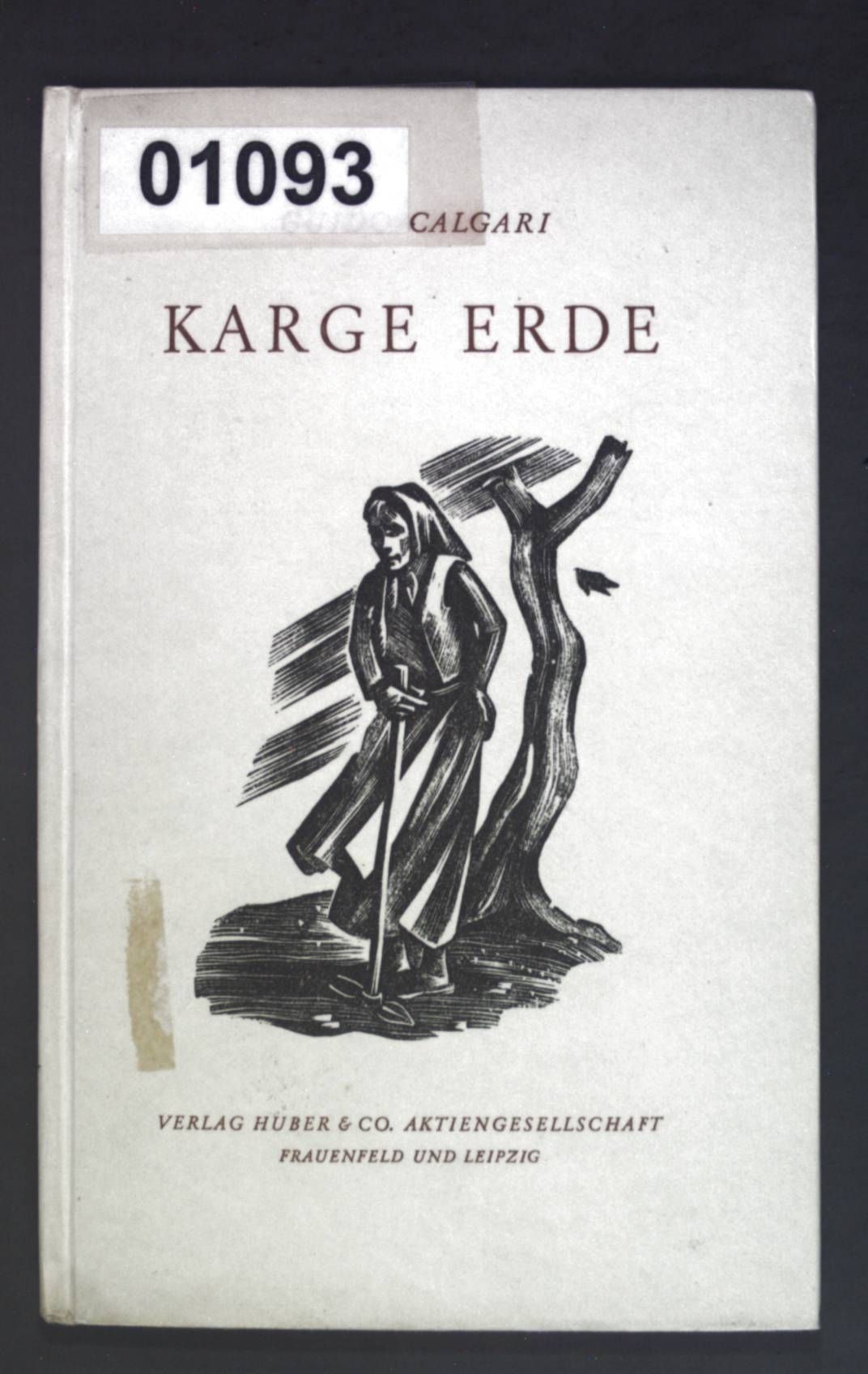 Karge Erde: Novellen aus den Tälern der Leventina