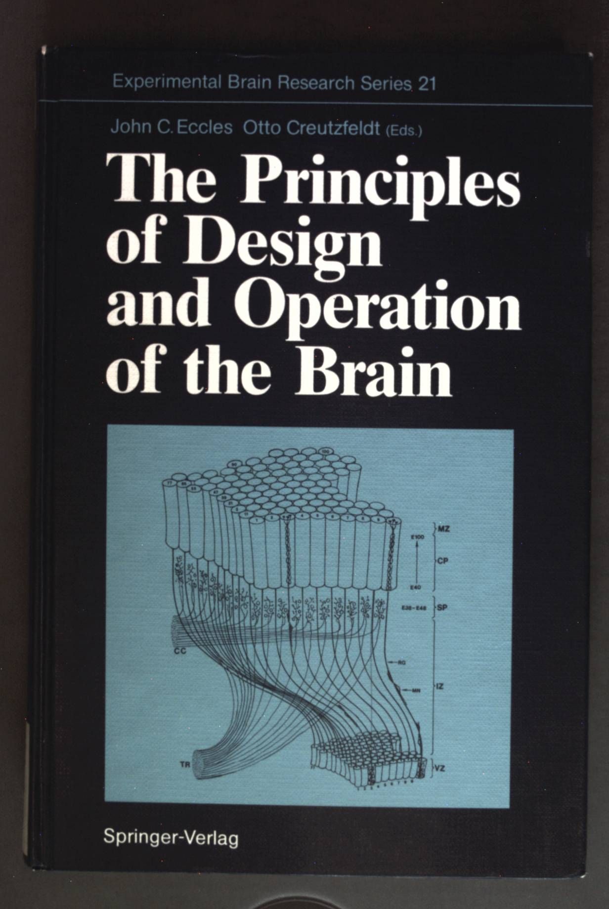 The Principles of Design and Operation of the Brain
