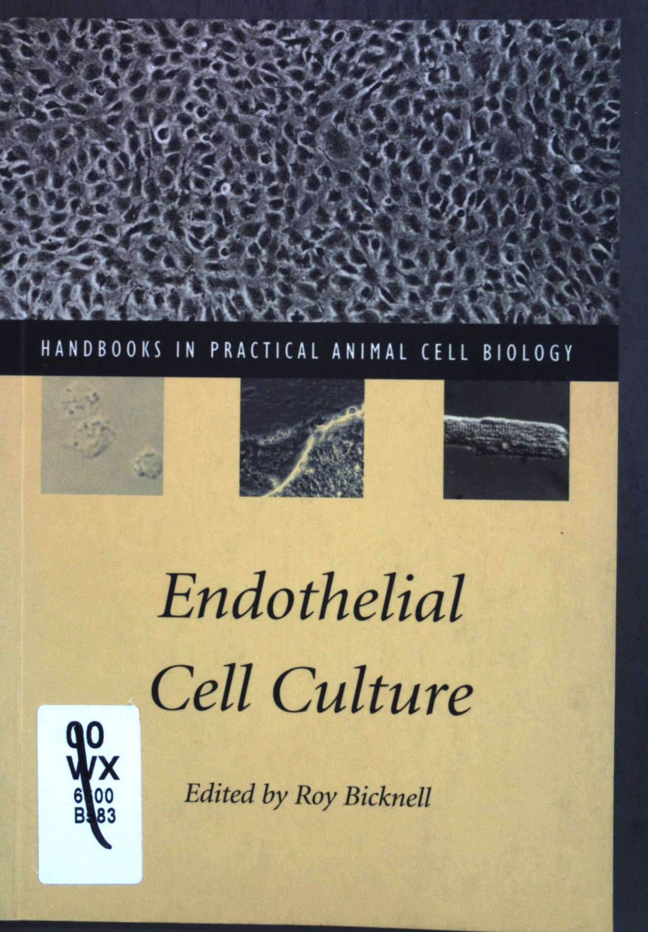 Endothelial Cell Culture