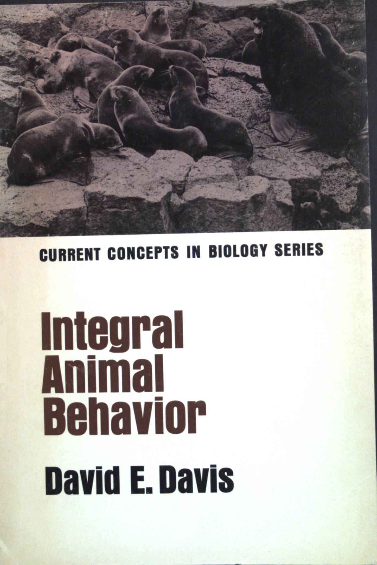 Integral Animal behavior
