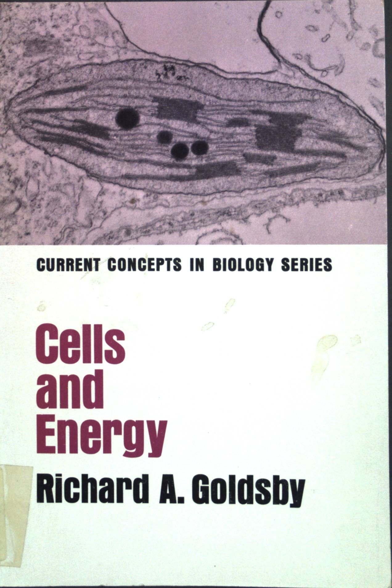 Cells and energy