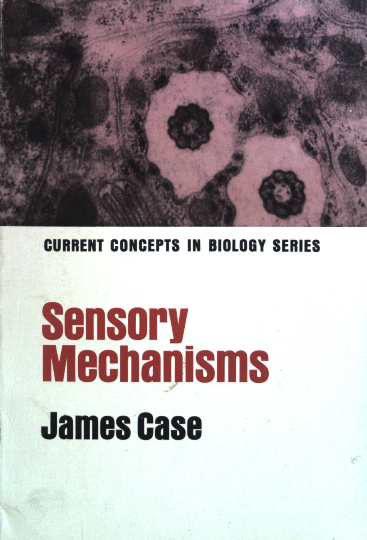 Sensory mechanisms