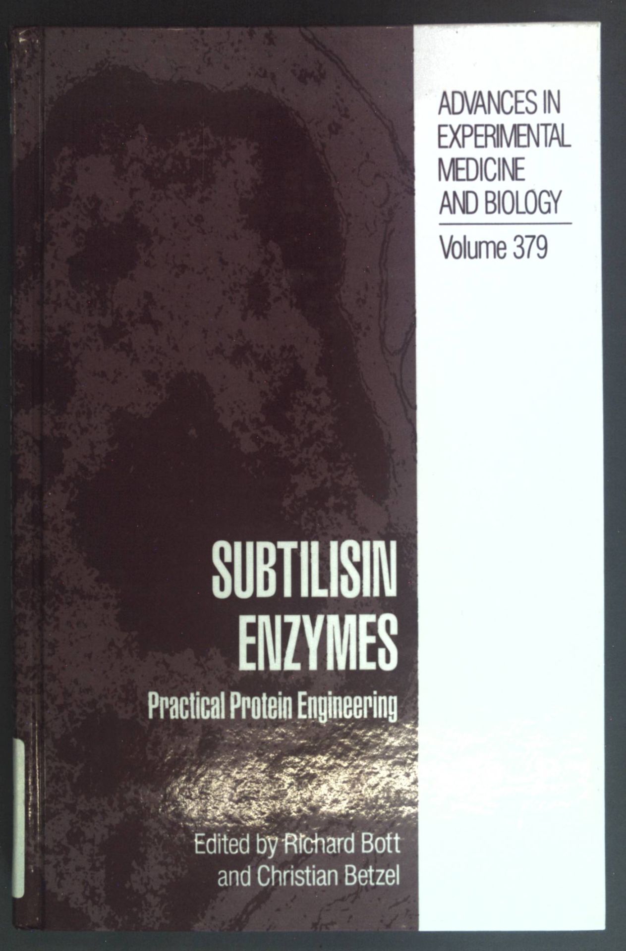 Subtilisin Enzymes: Practical Protein Engineering