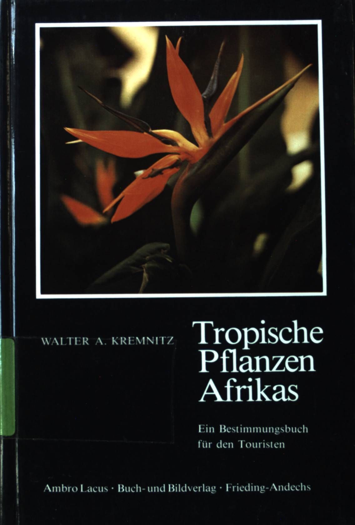 Tropische Pflanzen Afrikas : e. Bestimmungsbuch für d. Touristen