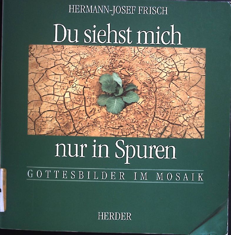 Du siehst mich nur in Spuren : Gottesbilder im Mosaik