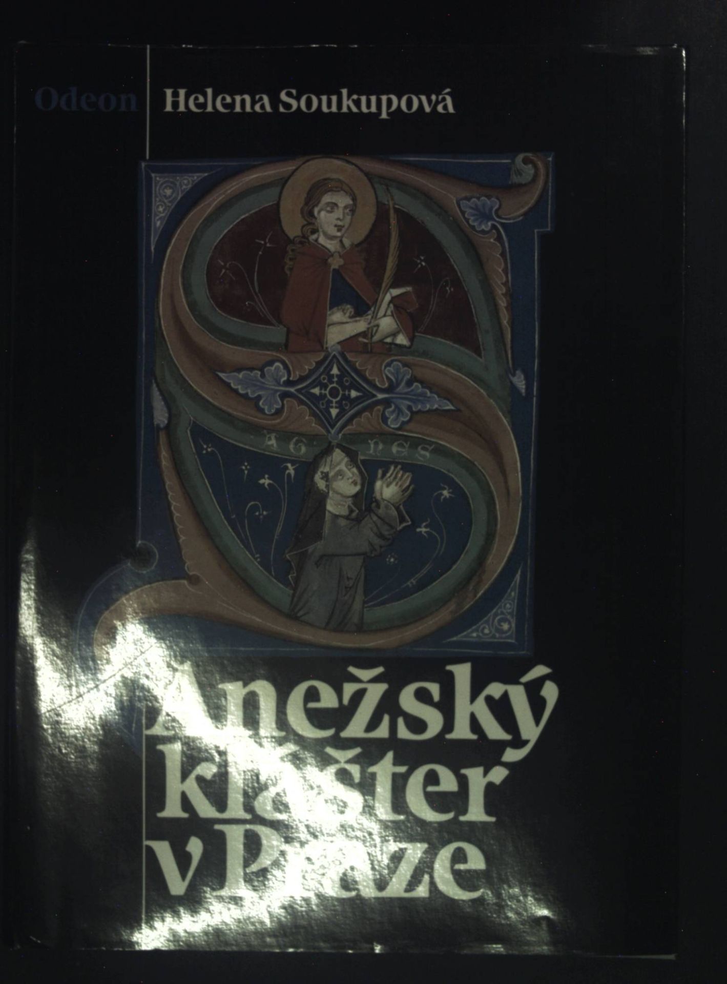 Anezsky klaster v Praze = Das Agneskloster zu Prag - Bildband