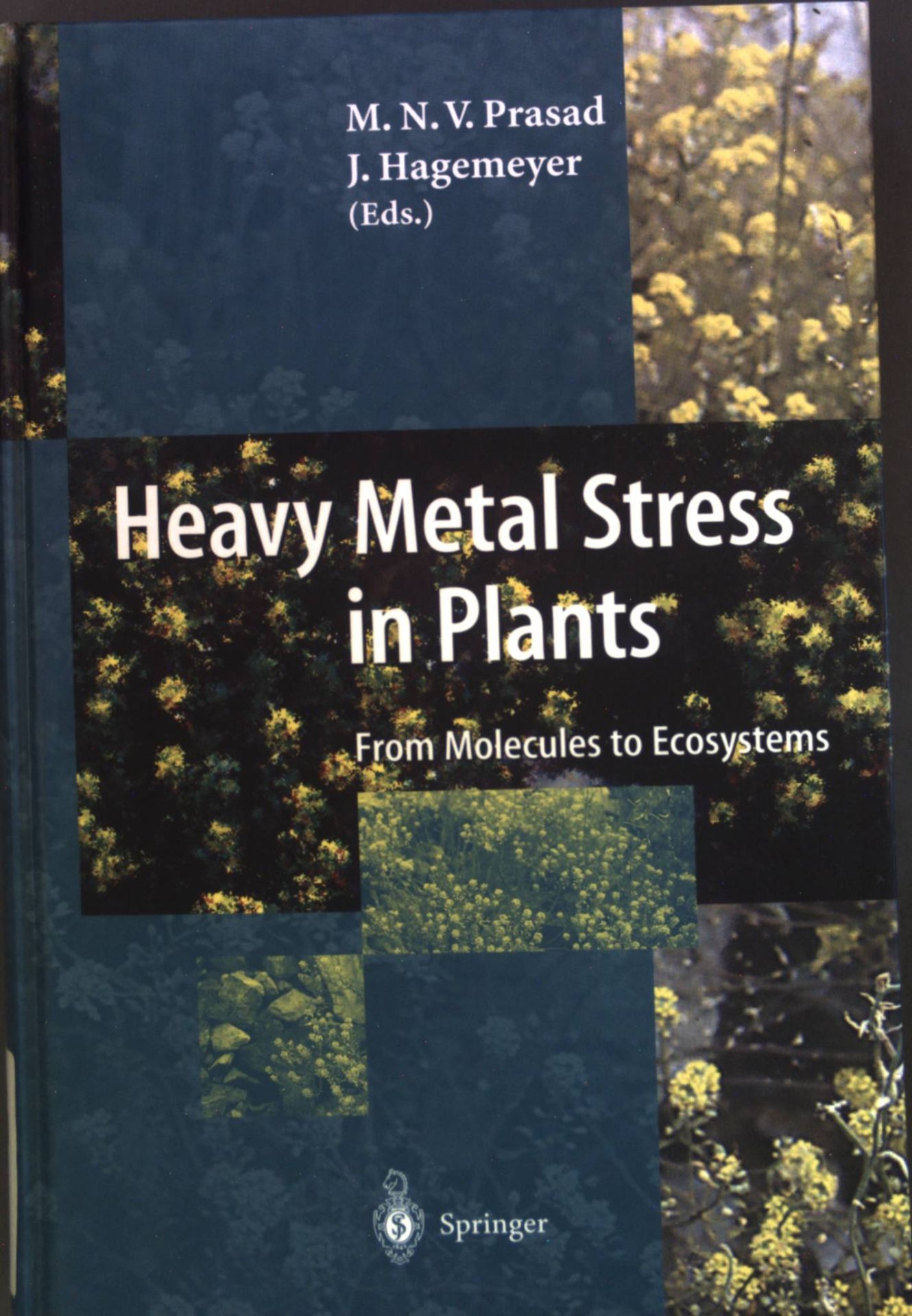 Heavy Metal Stress in Plants: From Molecules to Ecosystems