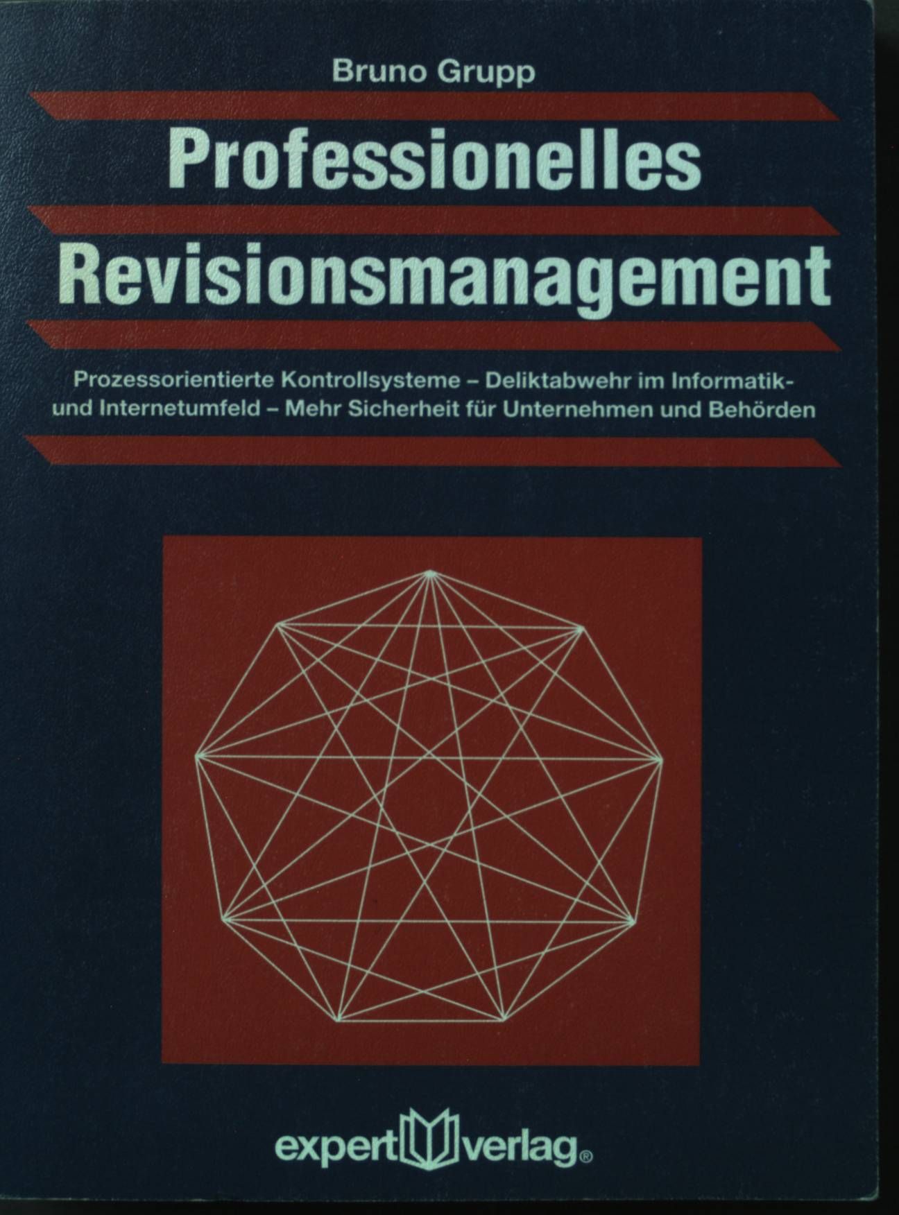 Professionelles Revisionsmanagement : prozessorientierte Kontrollsysteme - Deliktabwehr im Informatik- und Internetumfeld - mehr Sicherheit für Unternehmen und Behörden