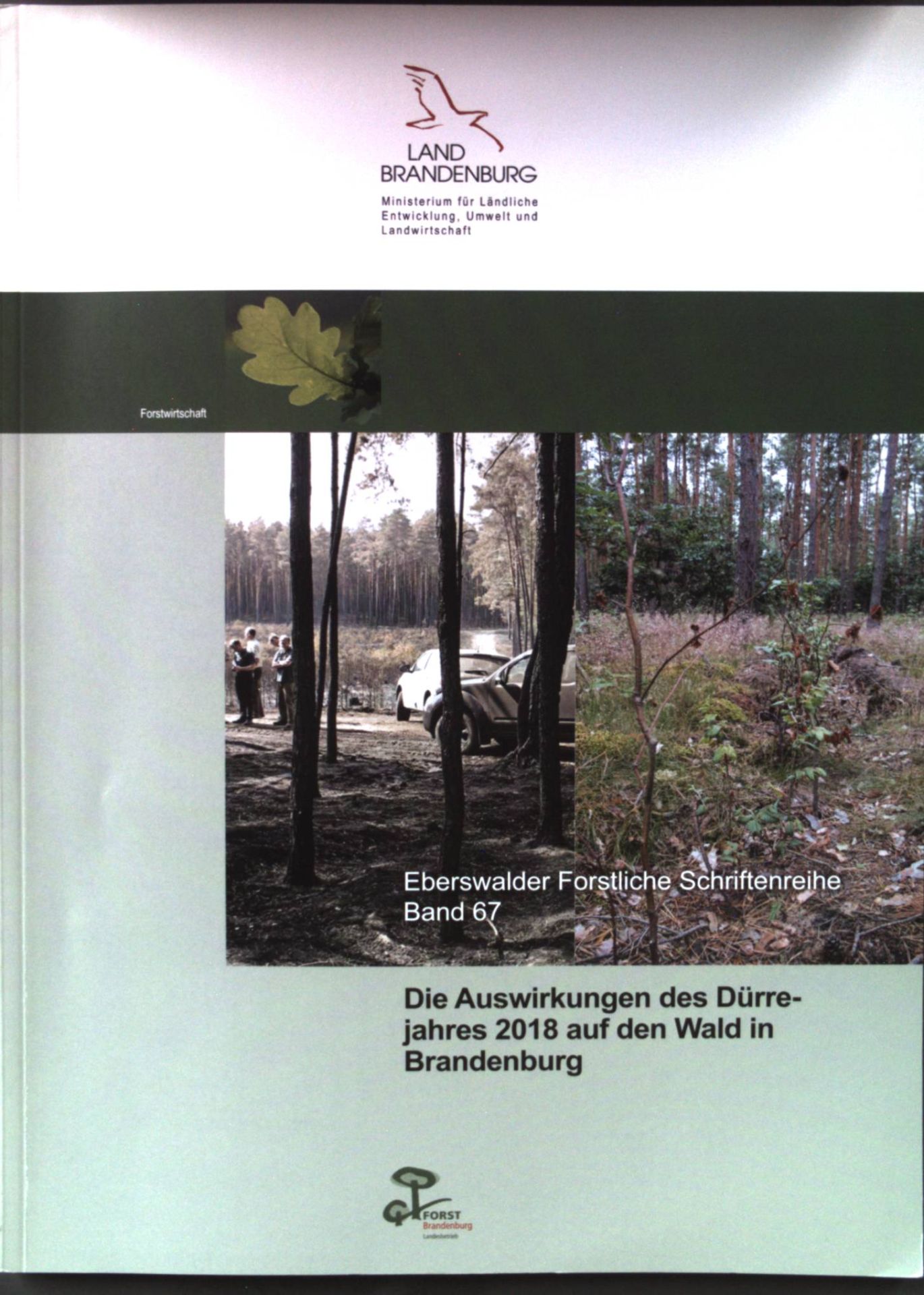 Die Auswirkungen des Dürrejahres 2018 auf den Wald in Brandenburg : 14. Eberswalder Winterkolloquium am 21. Februar 2019