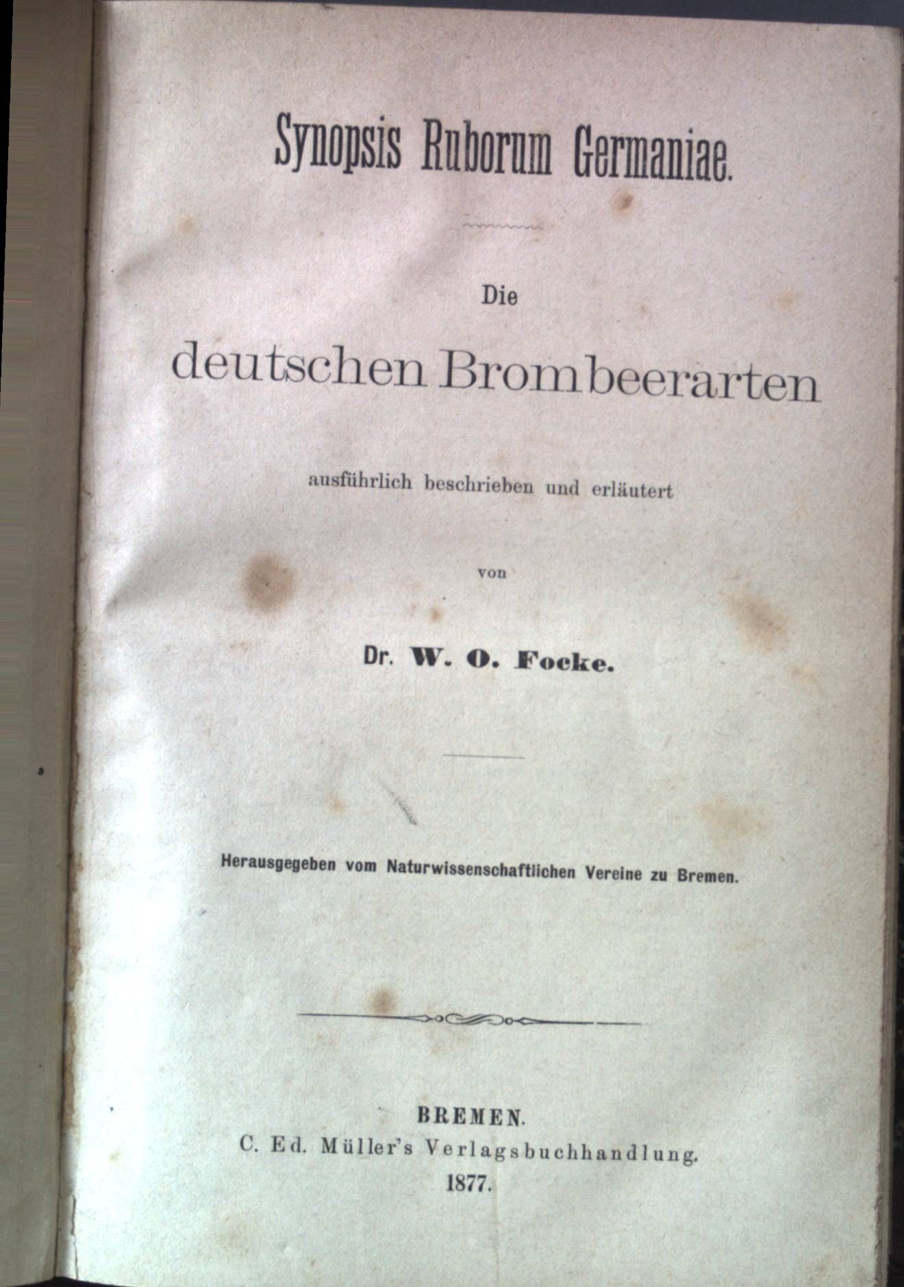 Synopsis Ruborum Germaniae: Die Deutschen Brombeerarten ausführlich beschrieben und erläutert