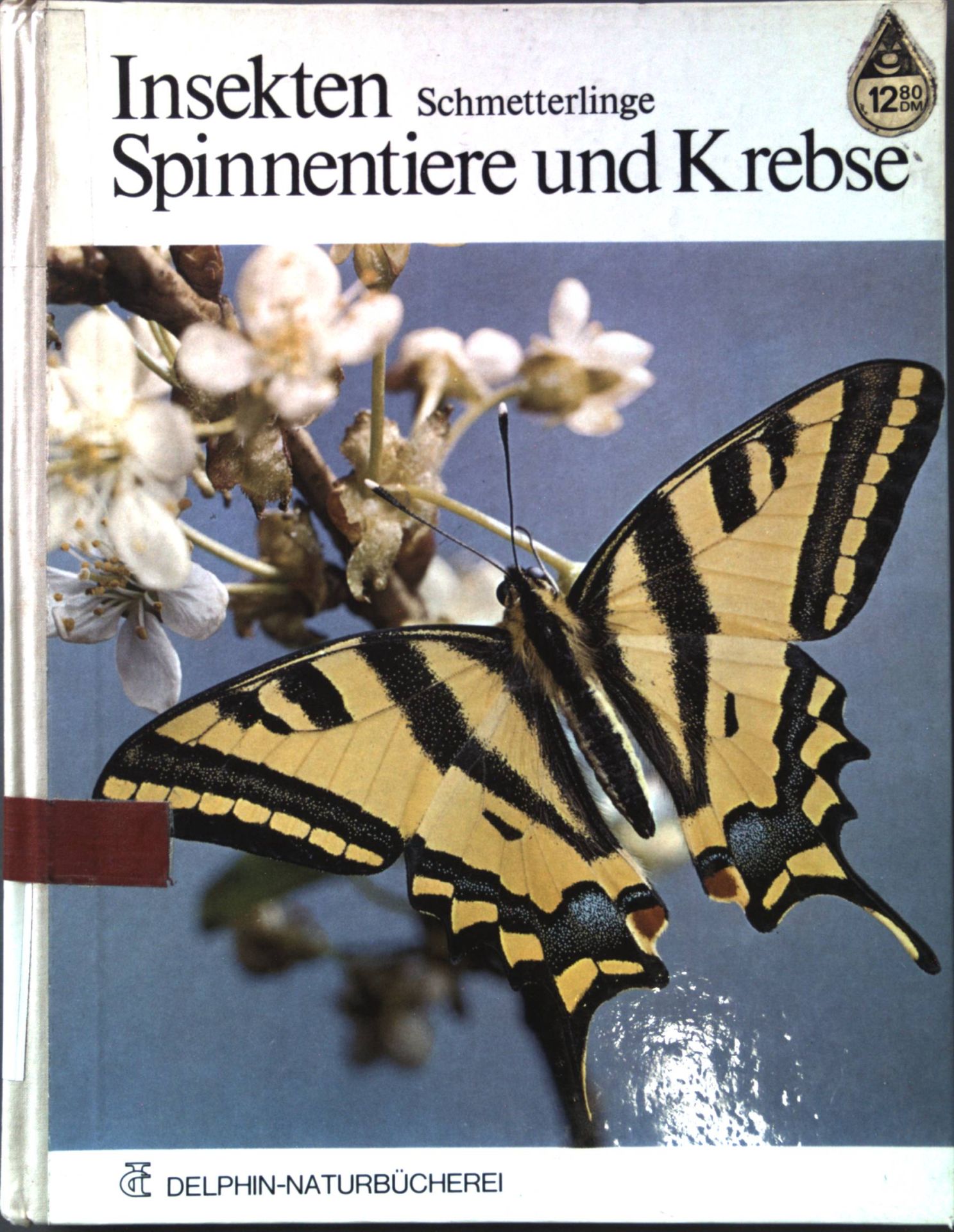 Insekten, Schmetterlinge, Spinnentiere und Krebse