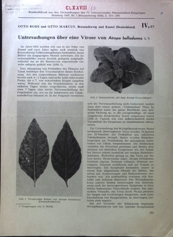 Untersuchungen über eine Virose von Atropa belladonna