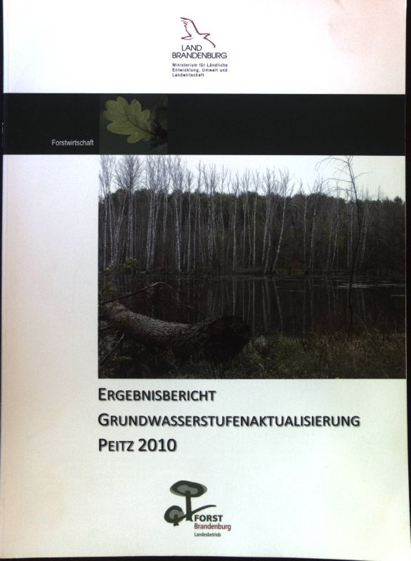 Ergebnisbericht Grundwasserstufenaktualisierung Peitz 2010