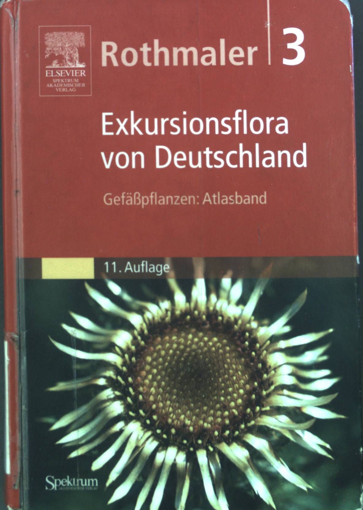 Exkursionsflora von Deutschland - Teil: Bd. 3., Gefäßpflanzen: Atlasband : mit 2814 abgebildeten Arten