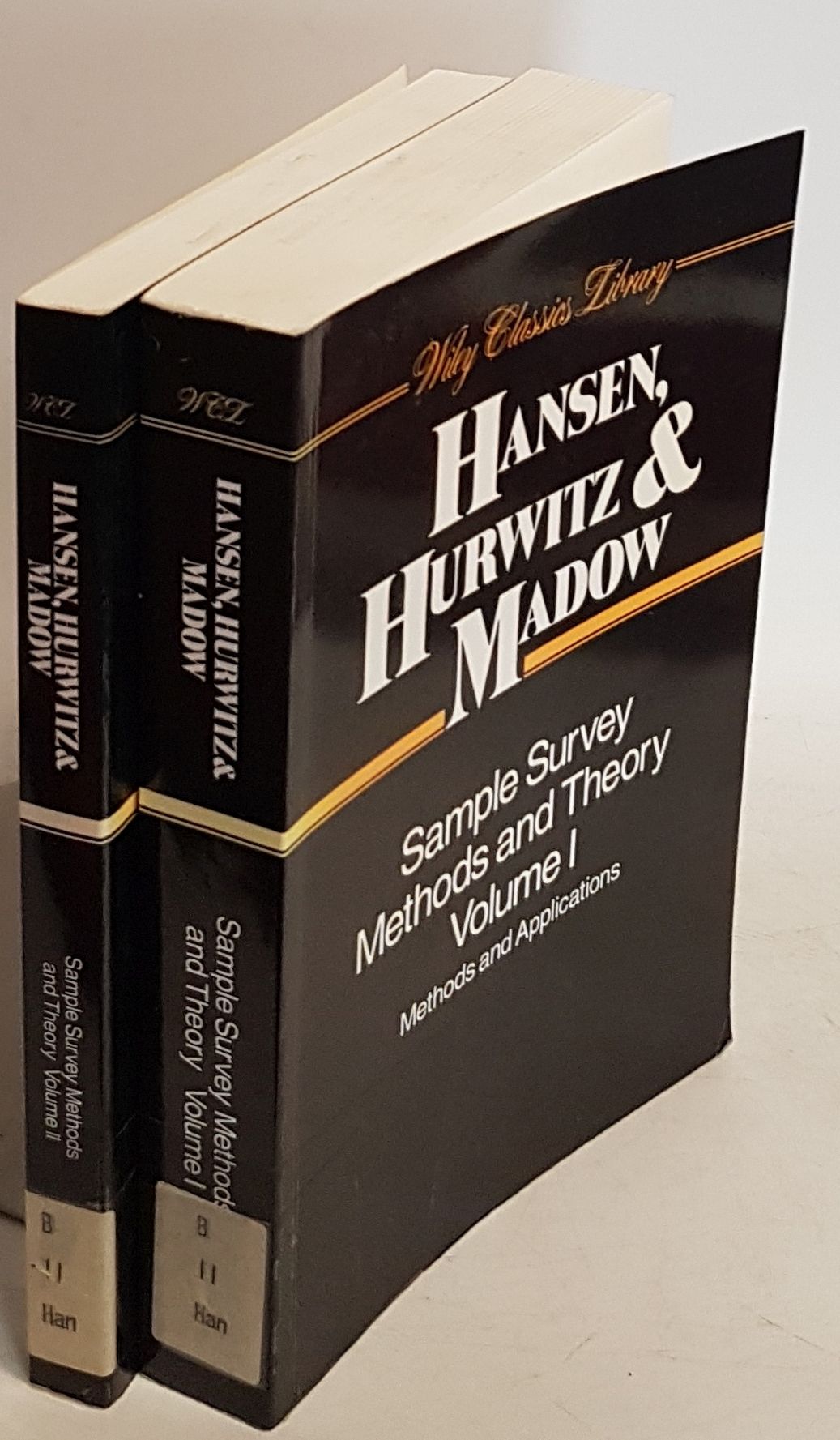 Sample Survey Methods and Theory (2 vols.set/ 2 Bände KOMPLETT) - Vol.I: Methods and Applications/ Vol.II: Theory