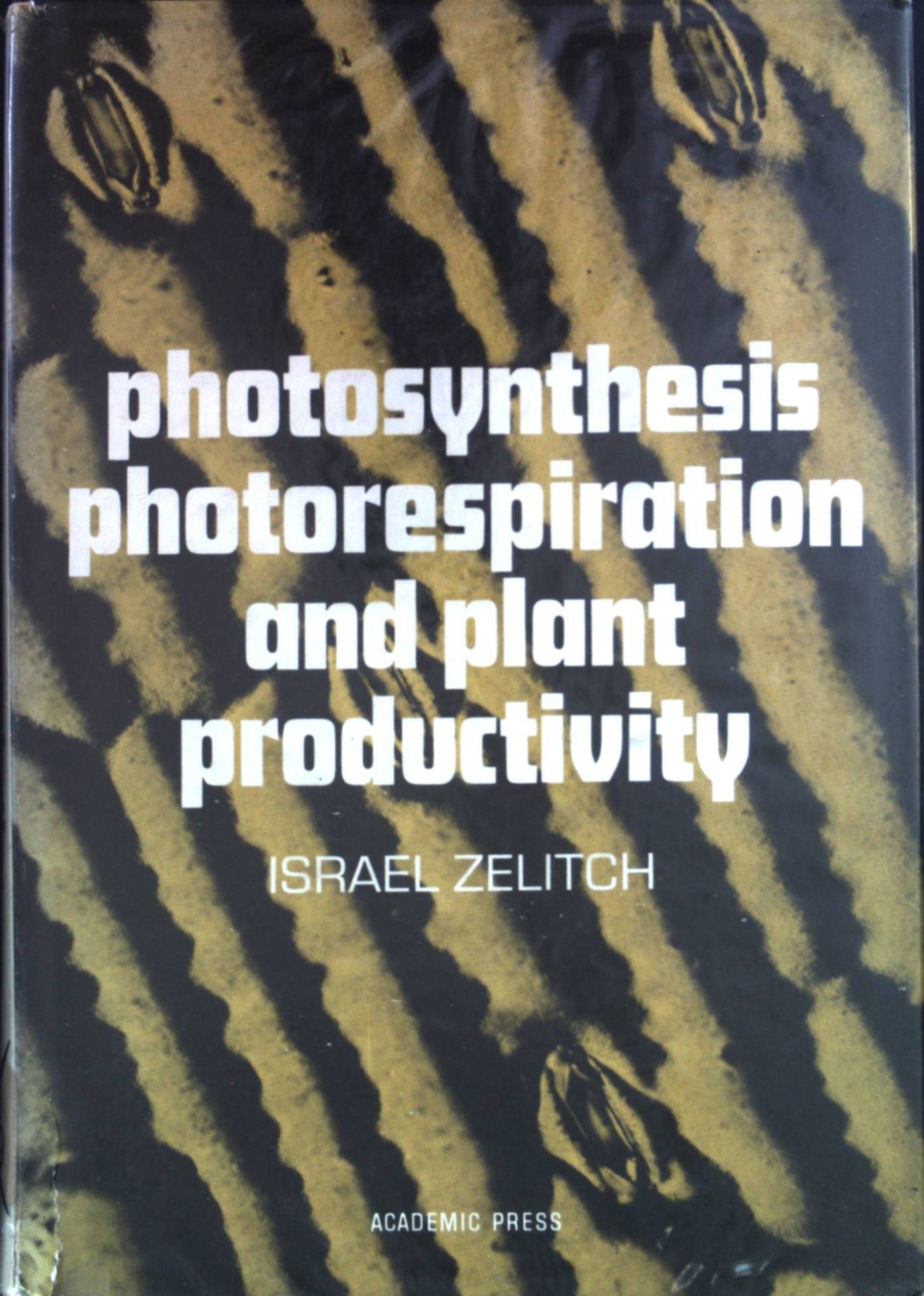Photosynthesis, Photorespiration, and Plant Productivity