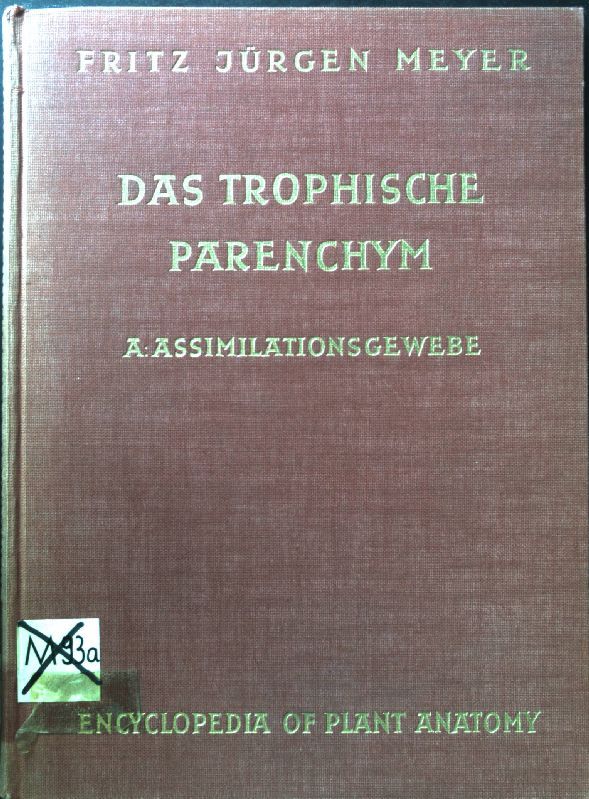 Das trophische Parenchym. A: Assimilationsgewebe
